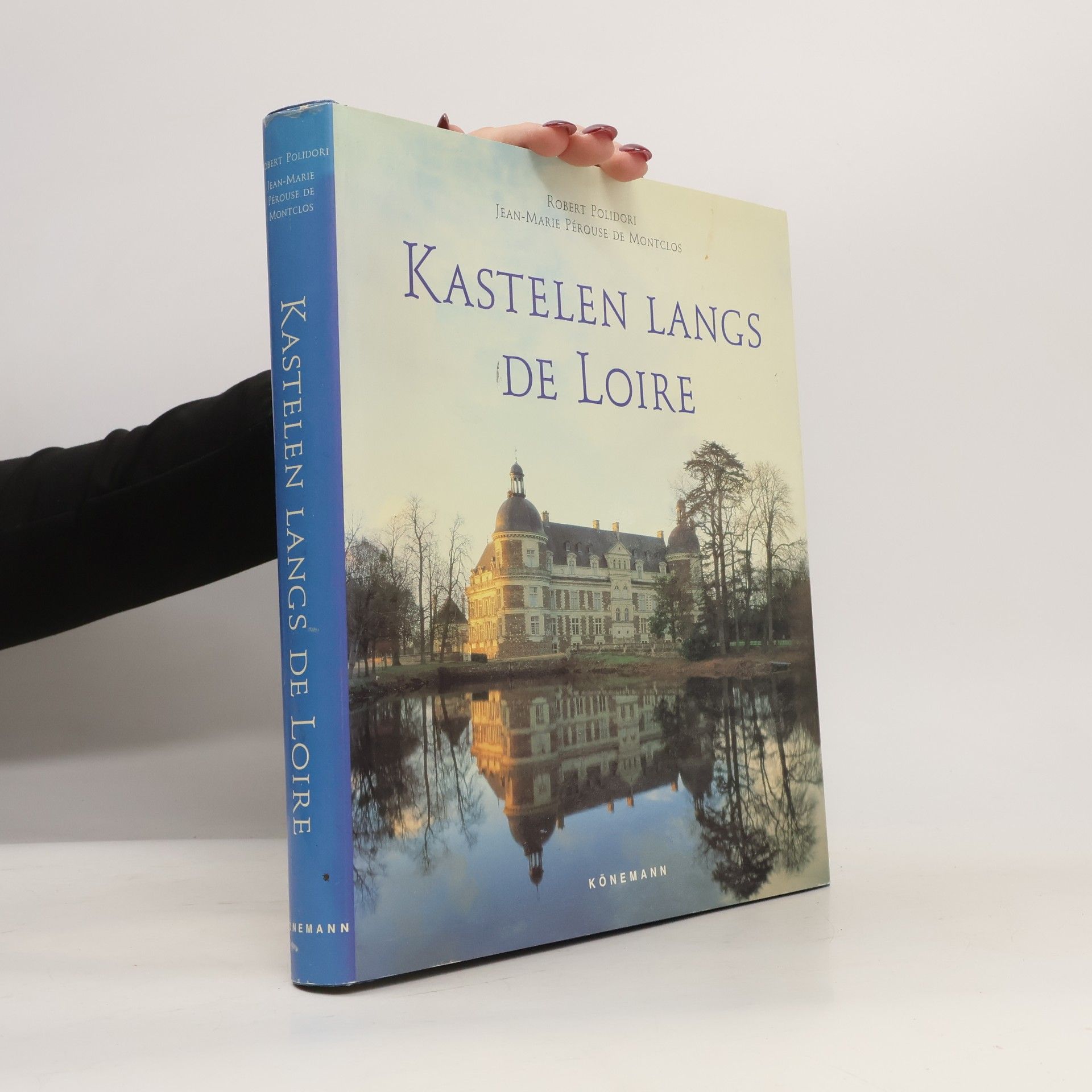 Kastelen langs de Loire