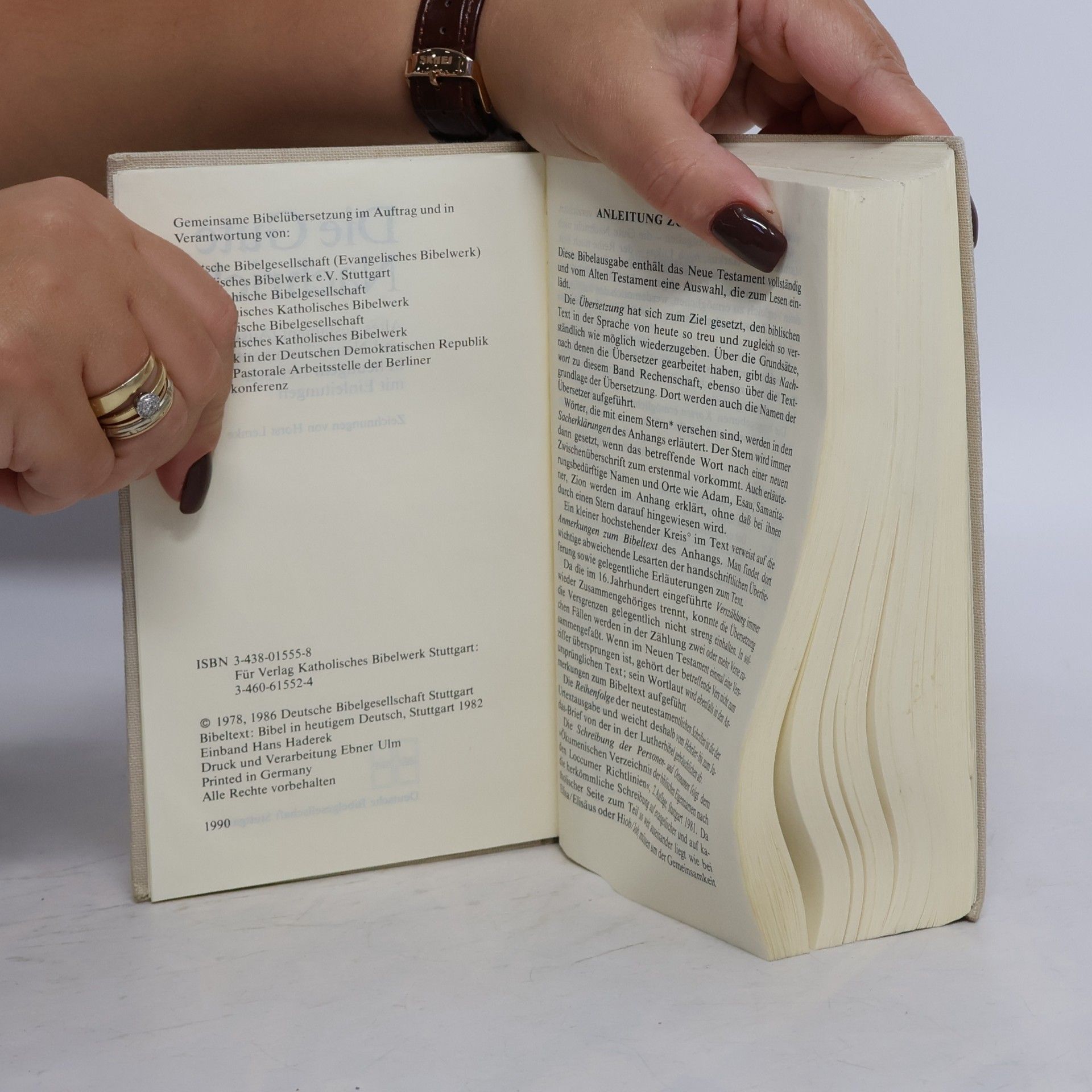 Various authors Die Gute Nachricht