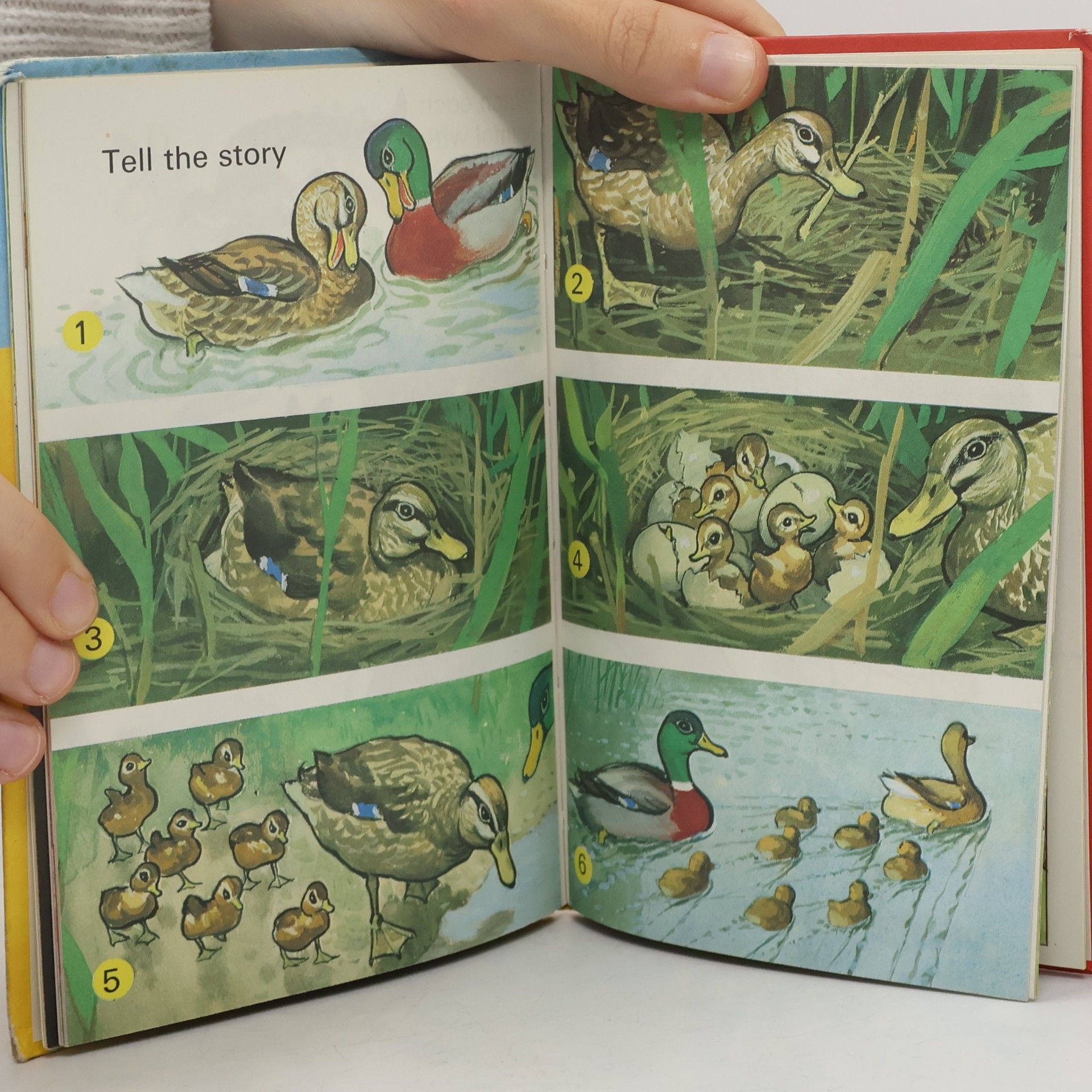 W. Murray talkabout animals
