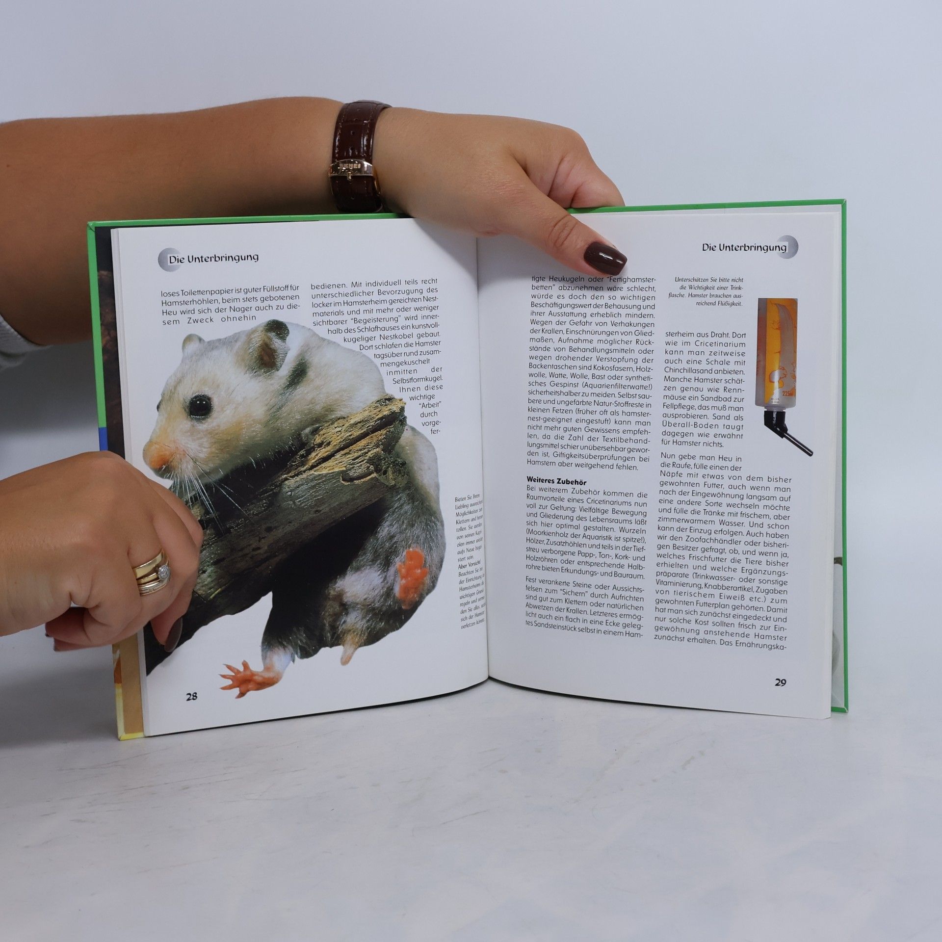 Stephan Dreyer Mein Hamster zu Hause