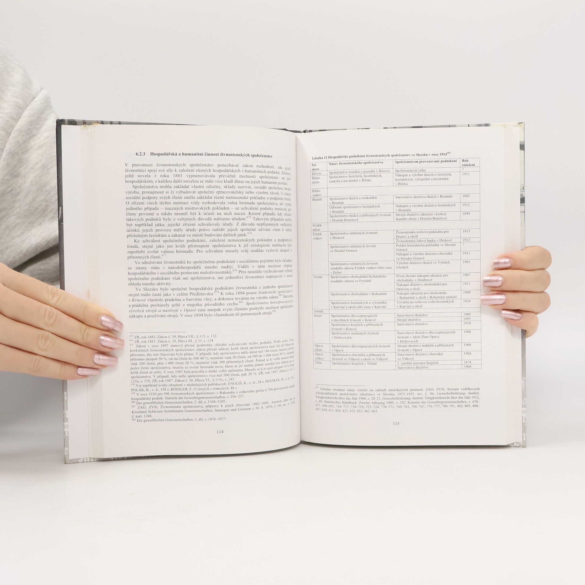 Květoslava Málková Vývoj živnostenské otázky v rakouském Slezsku 1859-1914