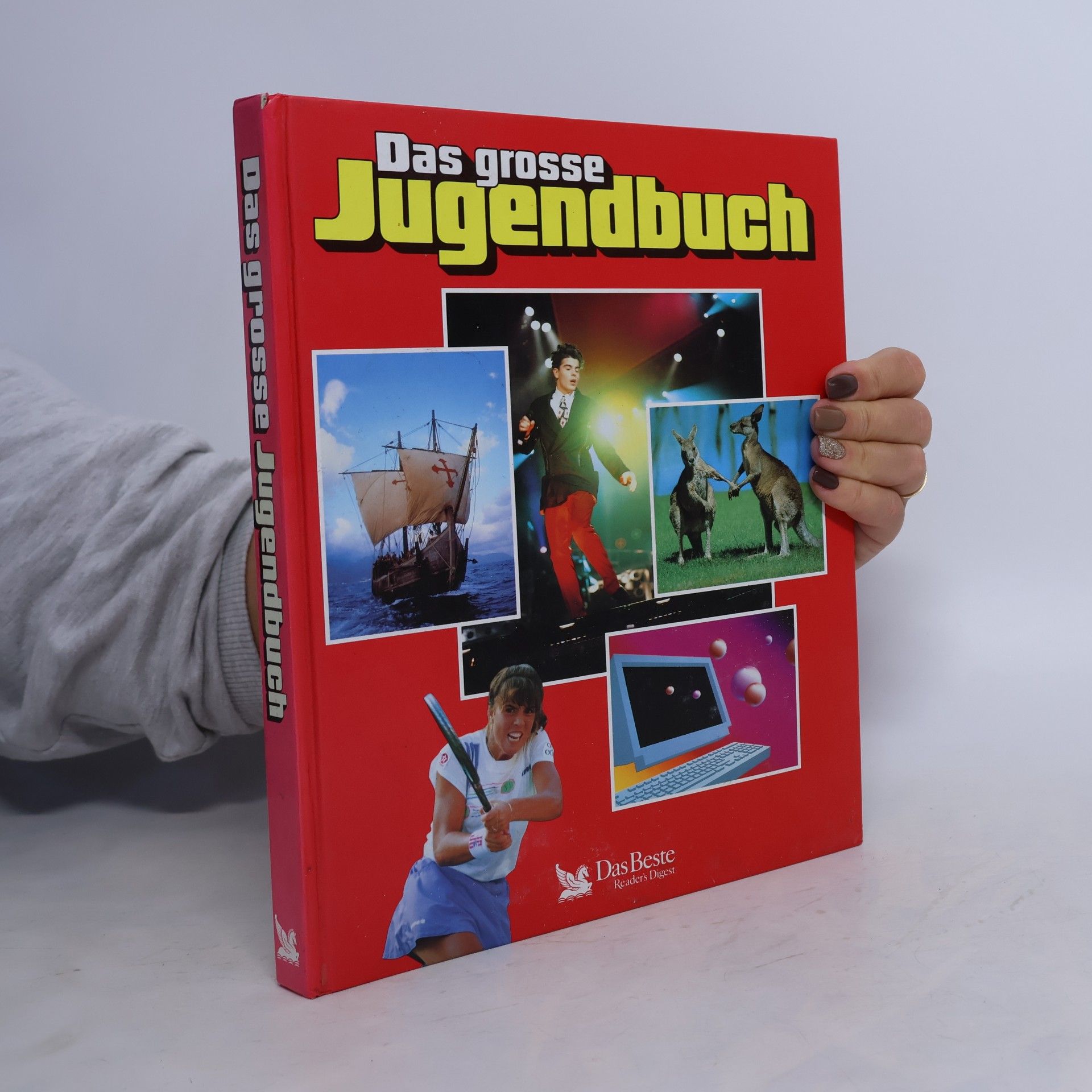 Autorenkollektiv Das grosse Jugendbuch