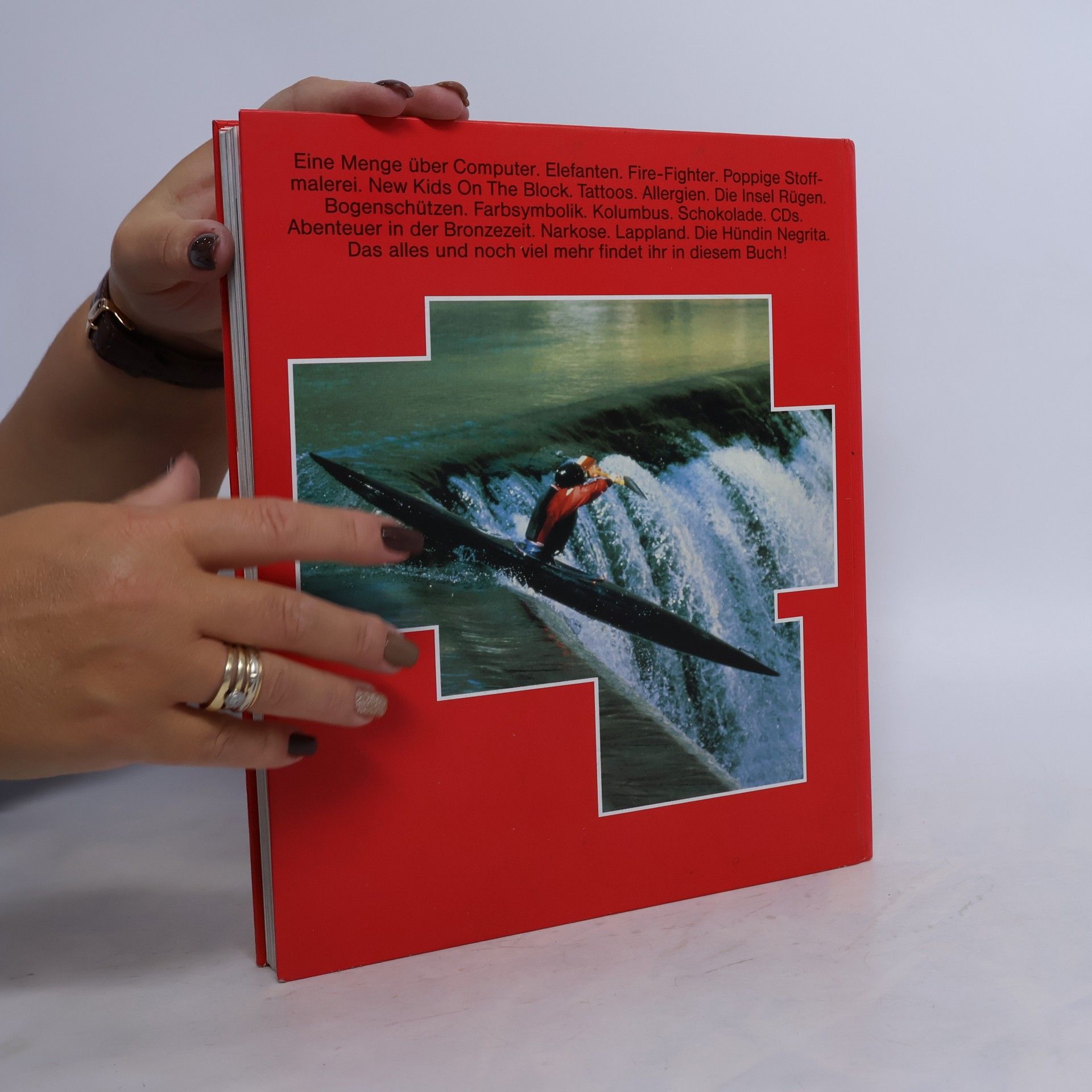 Autorenkollektiv Das grosse Jugendbuch
