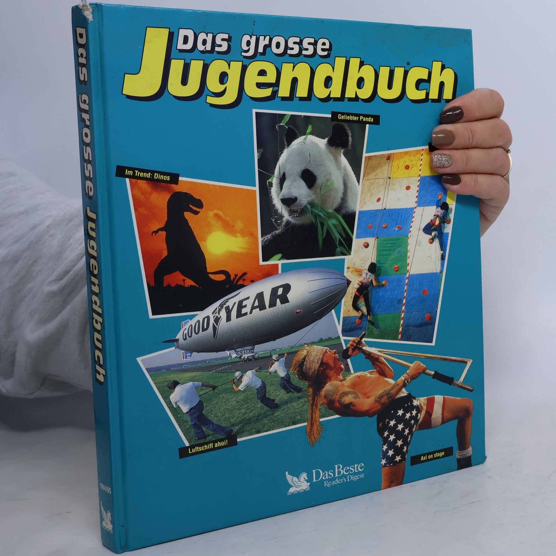 Autorenkollektiv Das grosse Jugendbuch