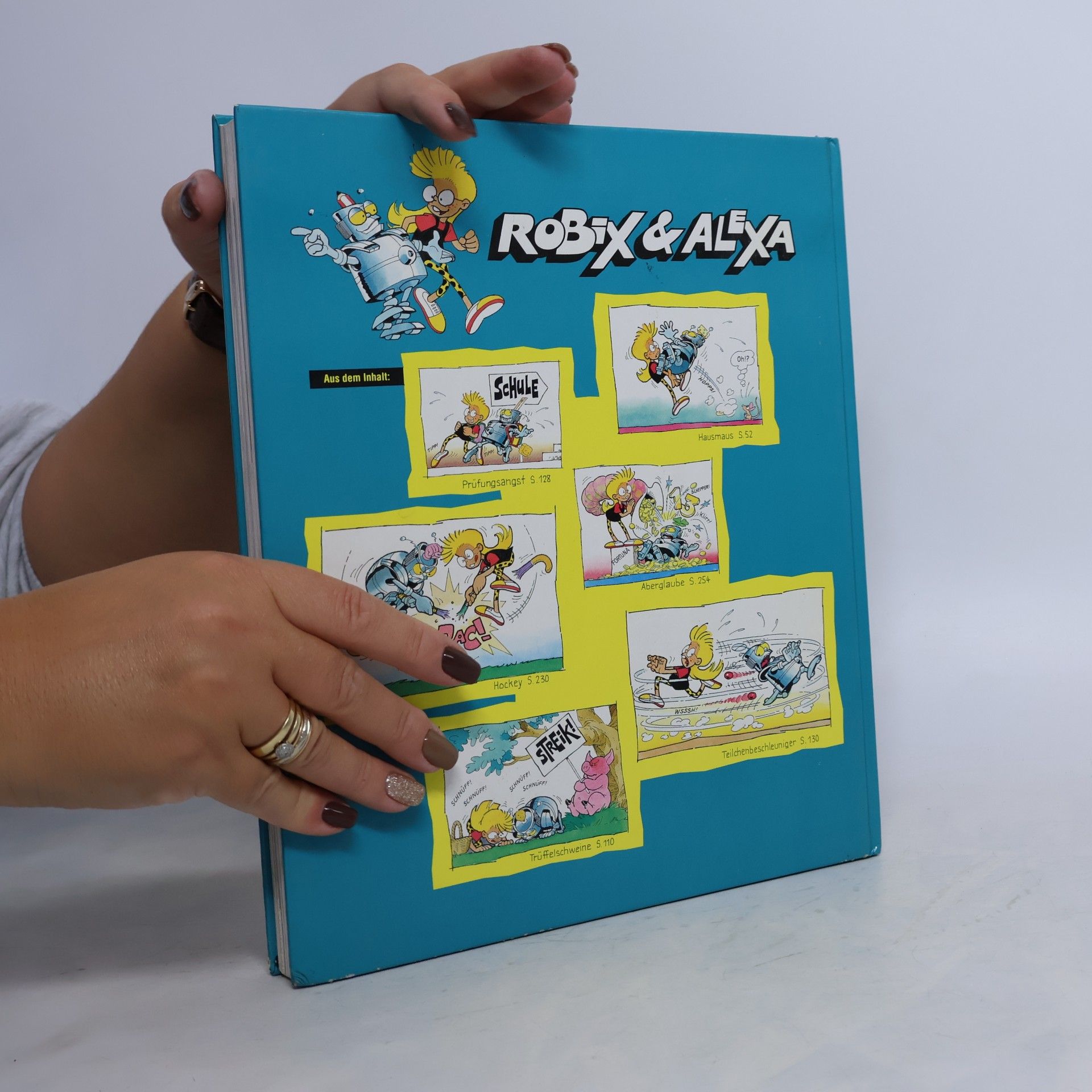 Autorenkollektiv Das grosse Jugendbuch