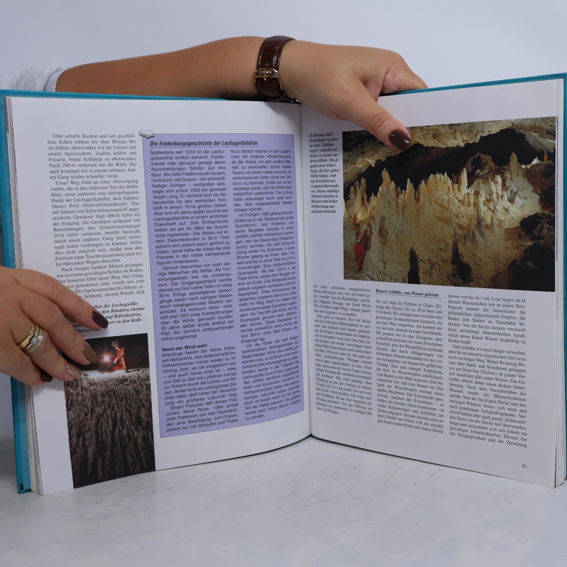 Autorenkollektiv Das grosse Jugendbuch
