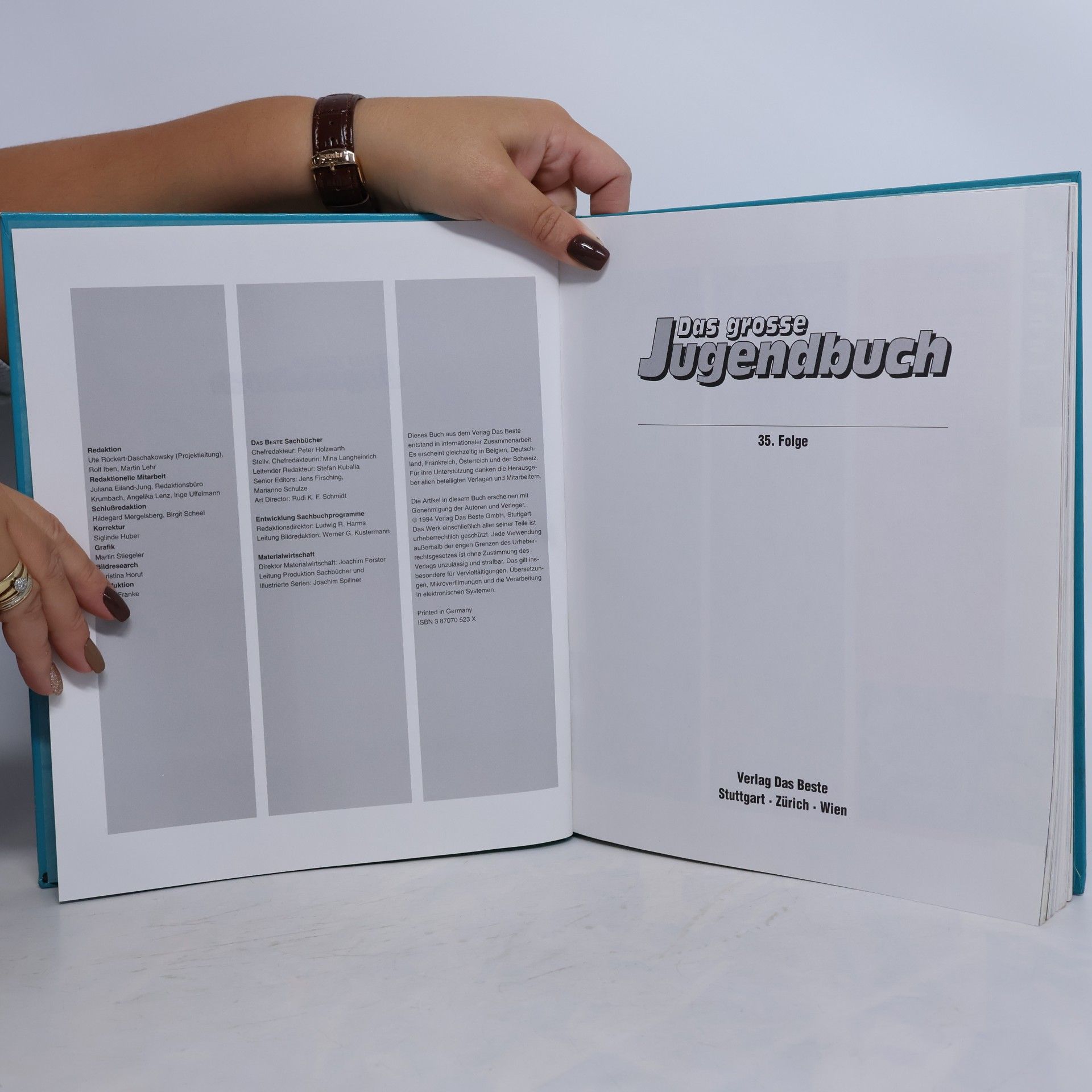 Autorenkollektiv Das grosse Jugendbuch
