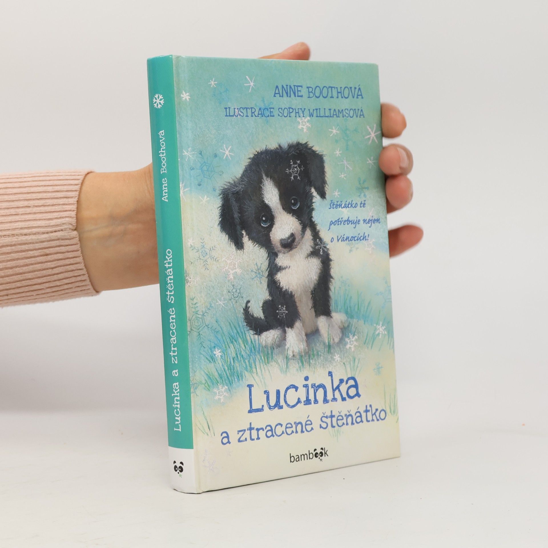Anne Booth Lucinka a ztracené štěňátko