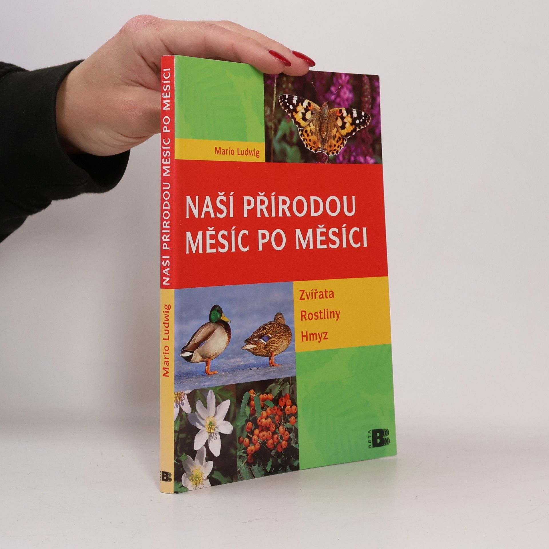 Mario Ludwig Naší přírodou : naší přírodou měsíc po měsíci : [zvířata, rostliny, hmyz]