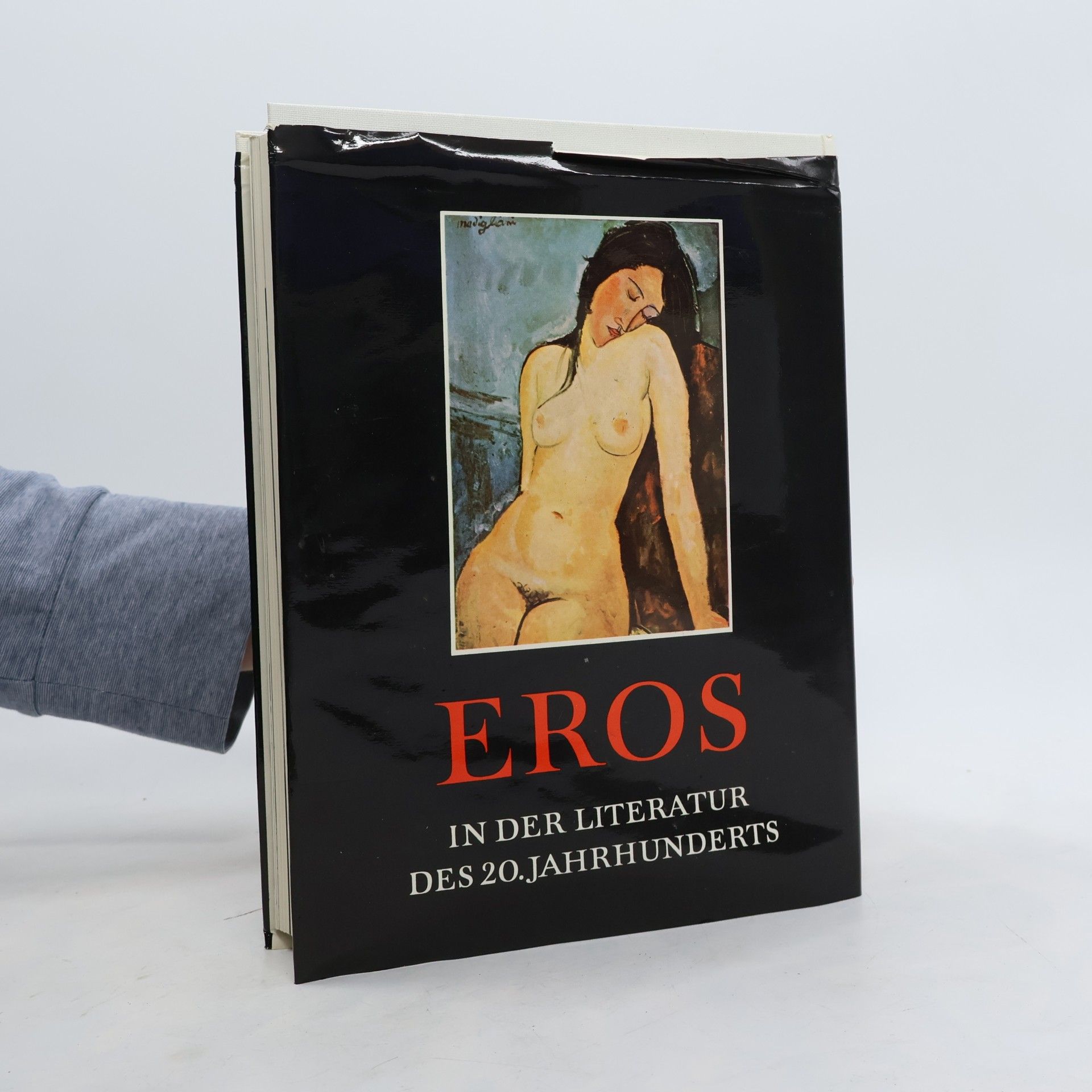 Kolektiv autorů Eros in der Literatur des 20. Jahrhunderts