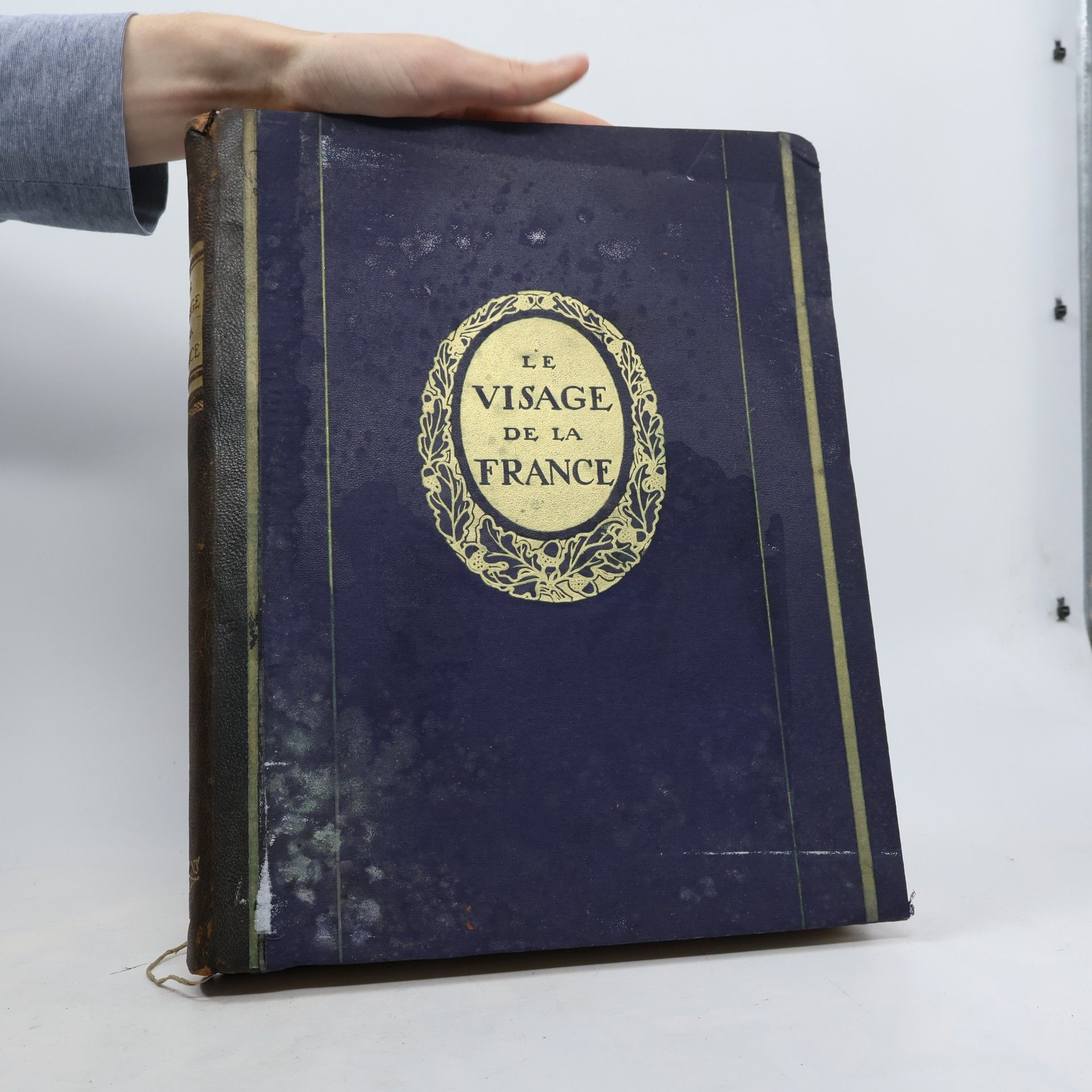 Various authors Le visage de la France