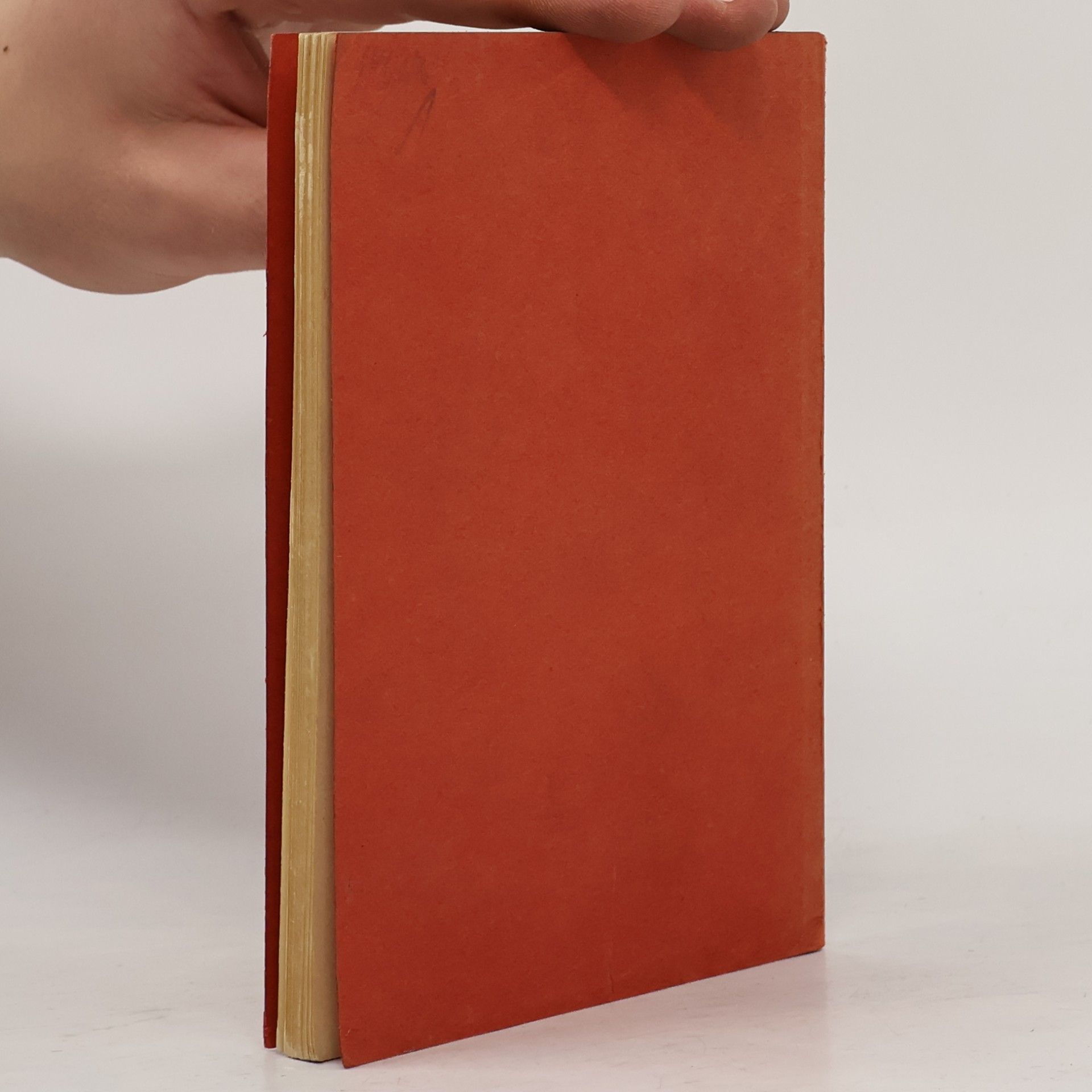 Autorenkollektiv Reichs-Rechtsanwaltsordnung