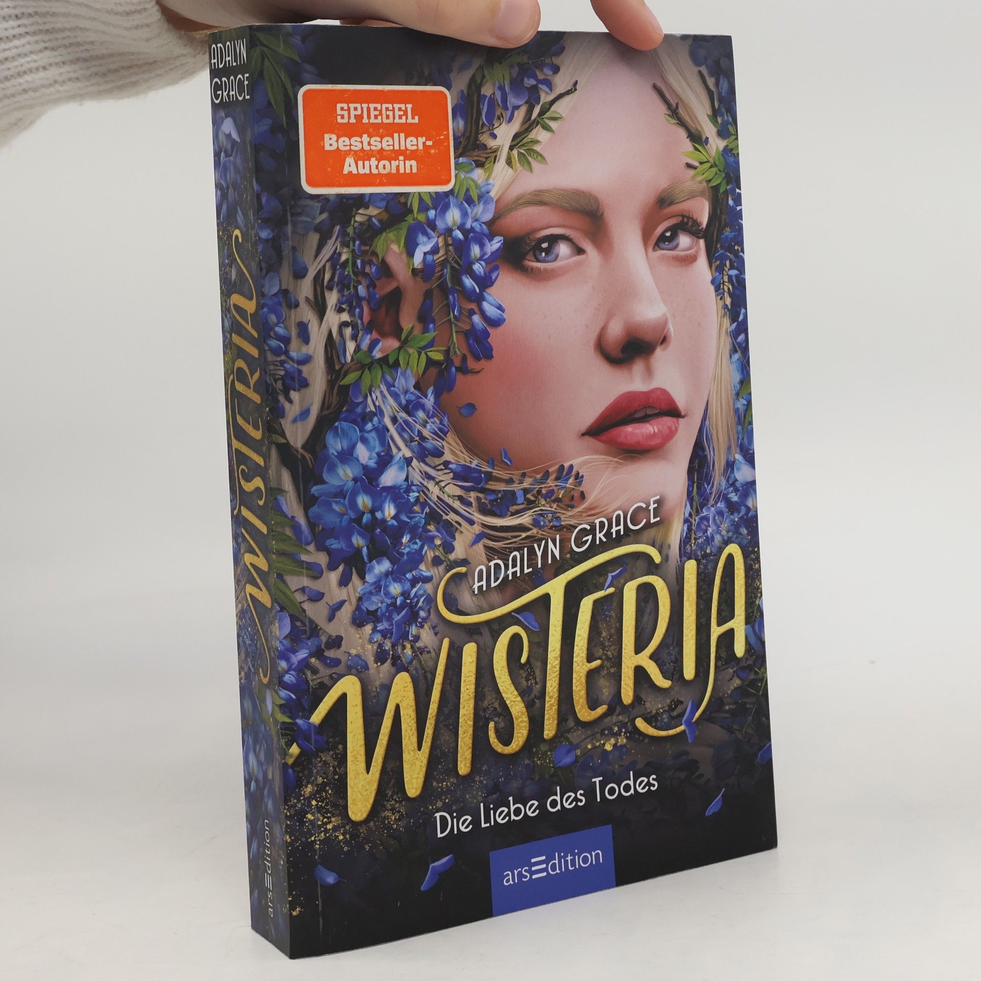 Wisteria