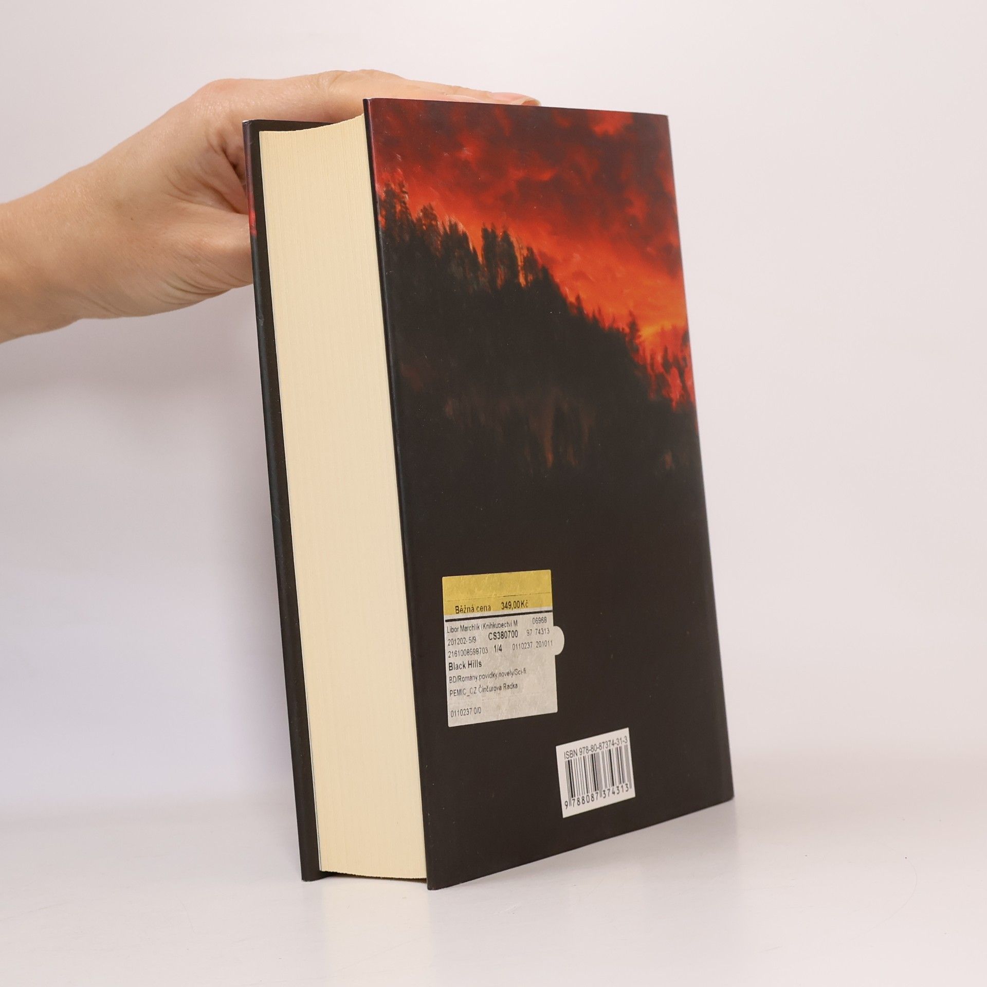 Dan Simmons Black Hills