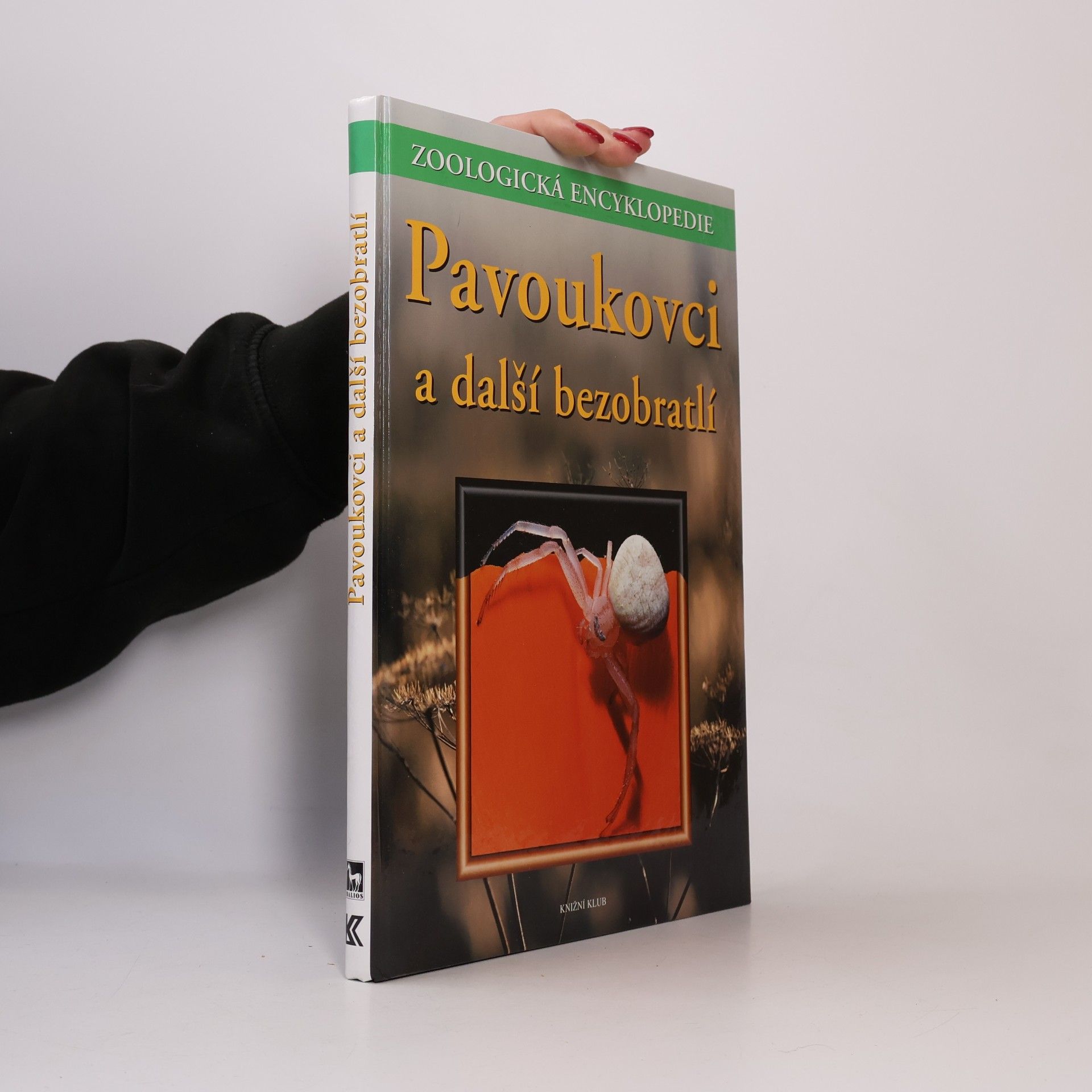 Pavoukovci a další bezobratlí
