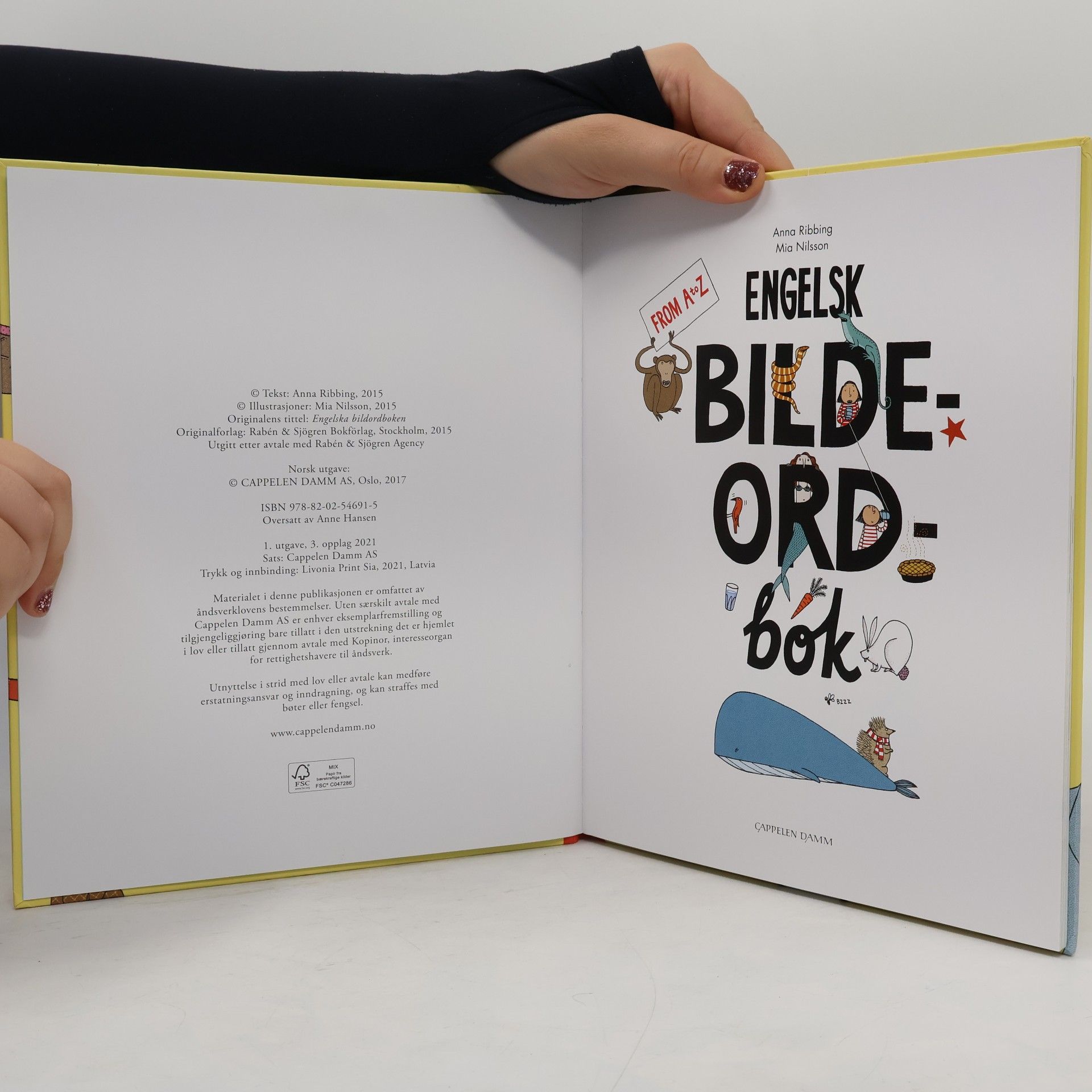 Anna Ribbing Engelsk bildeordbok