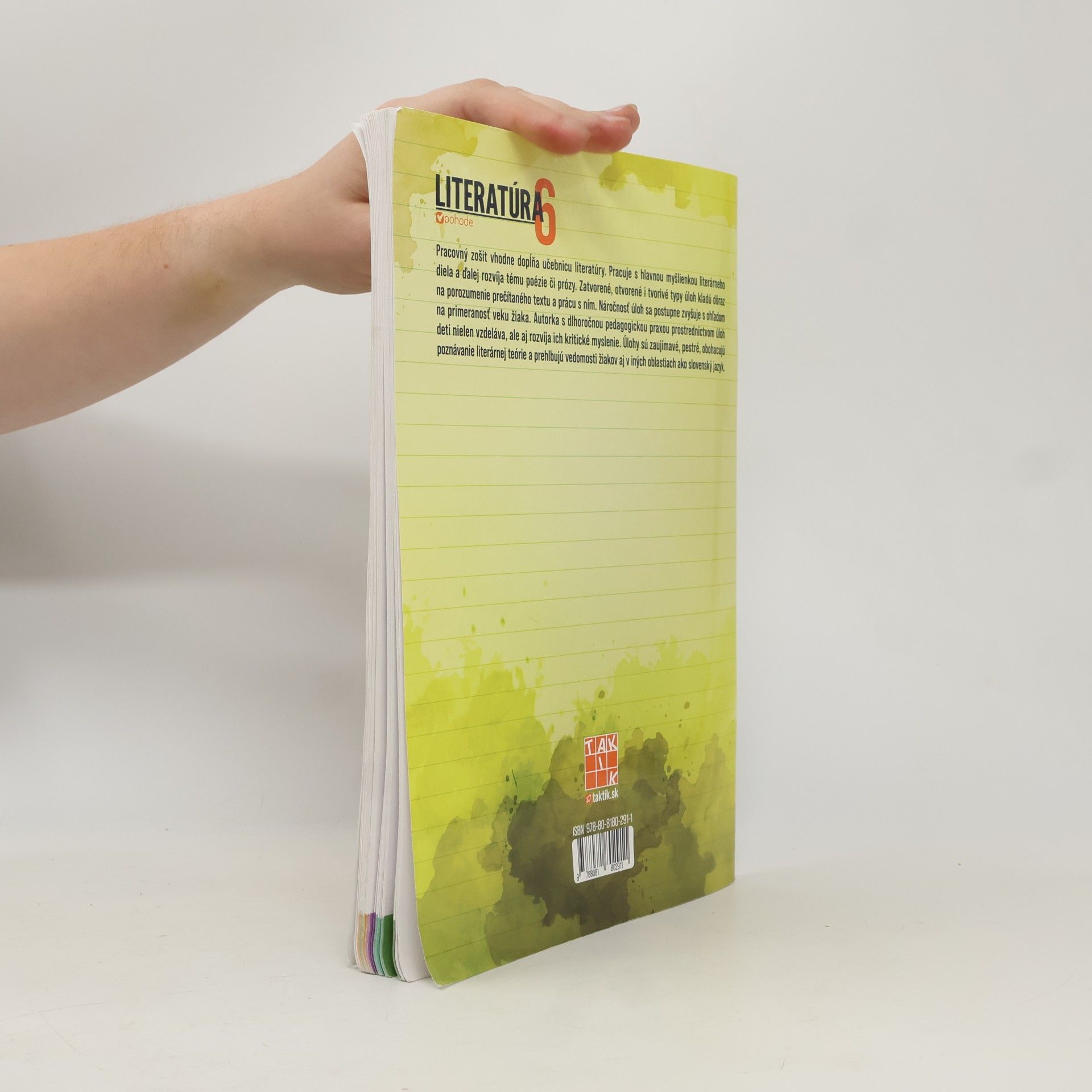 Autorenkollektiv Literatúra 6