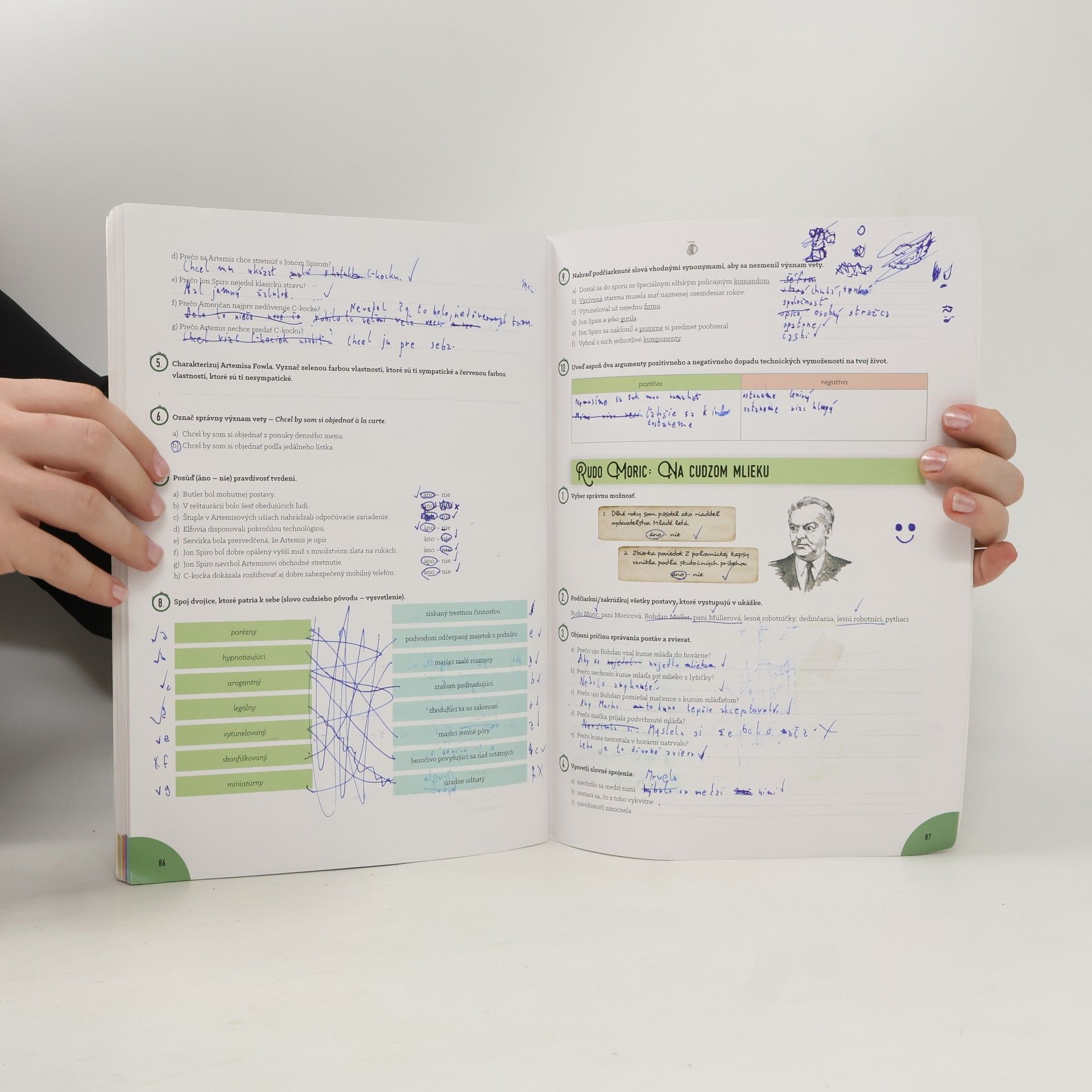 Autorenkollektiv Literatúra 6