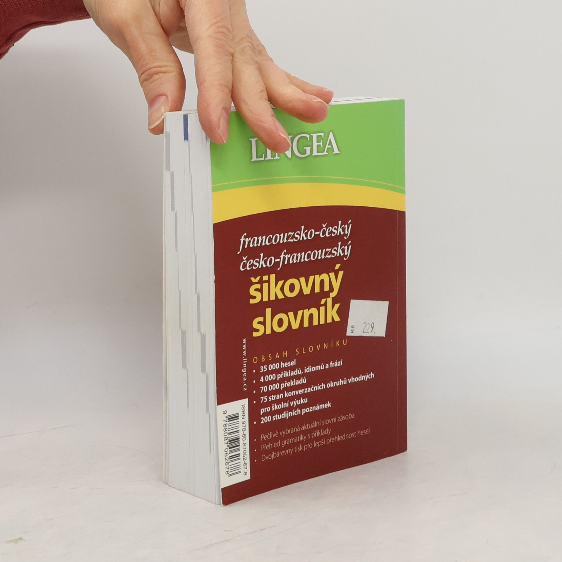 Auteurscollectief Francouzsko-český, česko-francouzský šikovný slovník