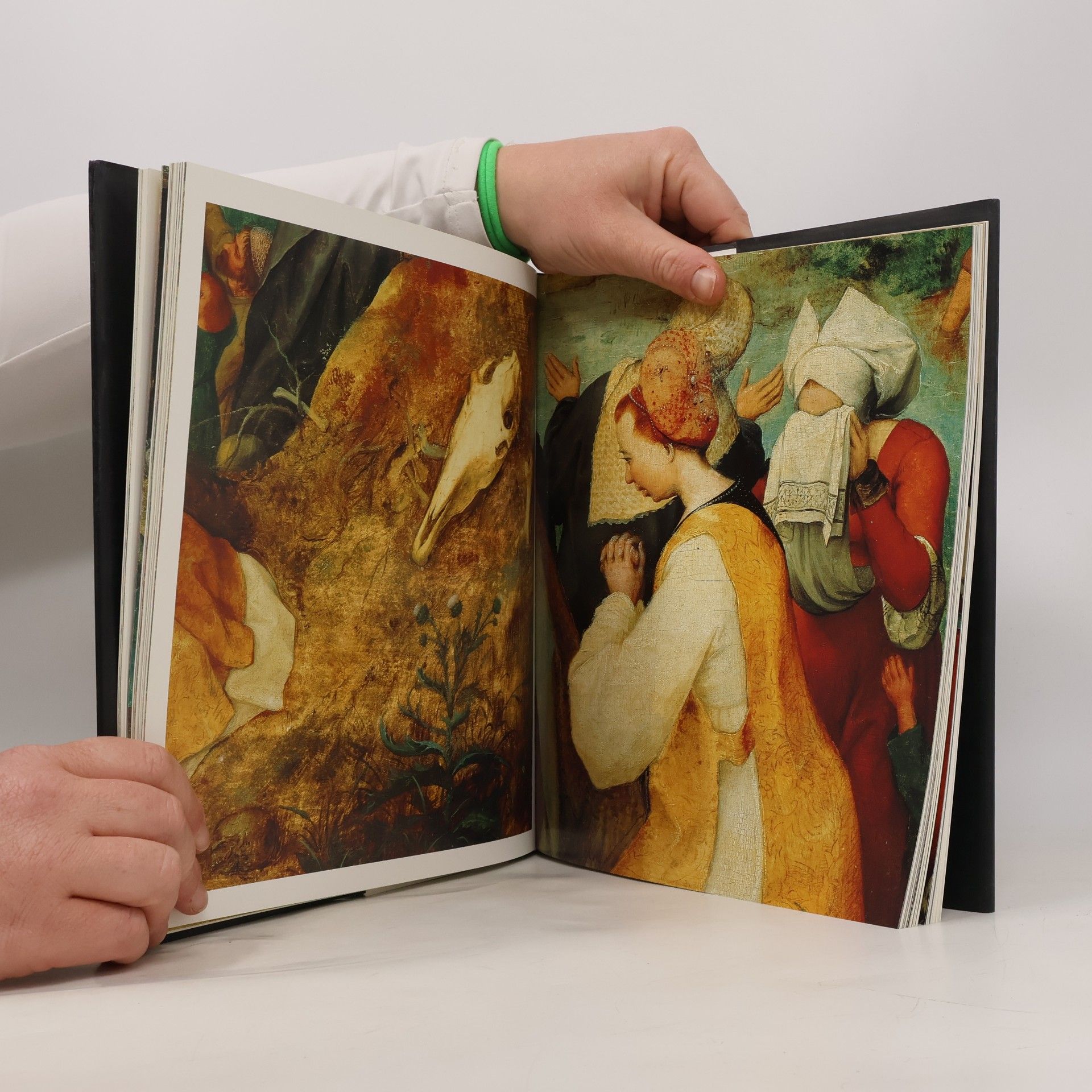 Kolektiv autorů Pieter Bruegel d.Ä - im Kunsthistorischen Museum Wien