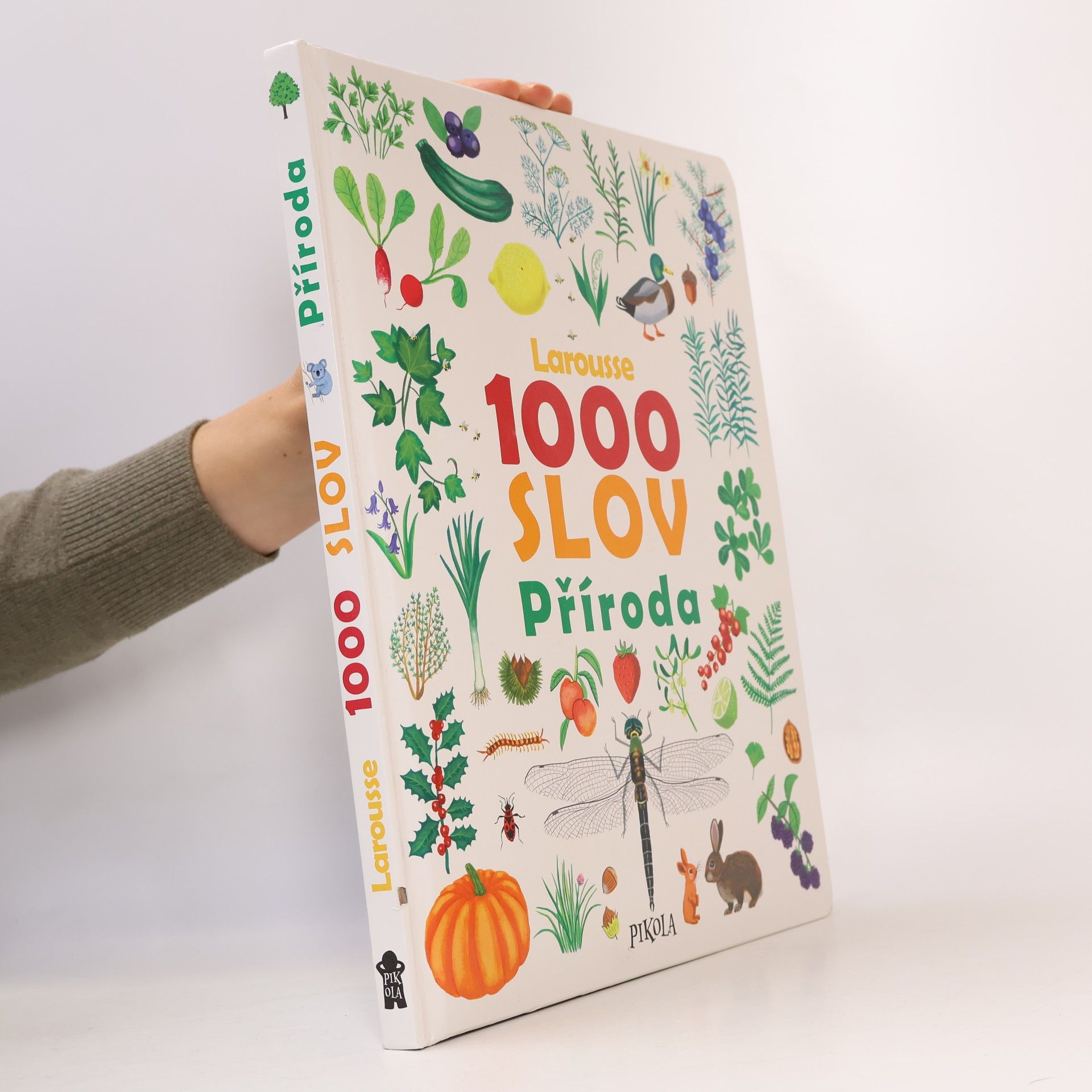 1000 slov : příroda