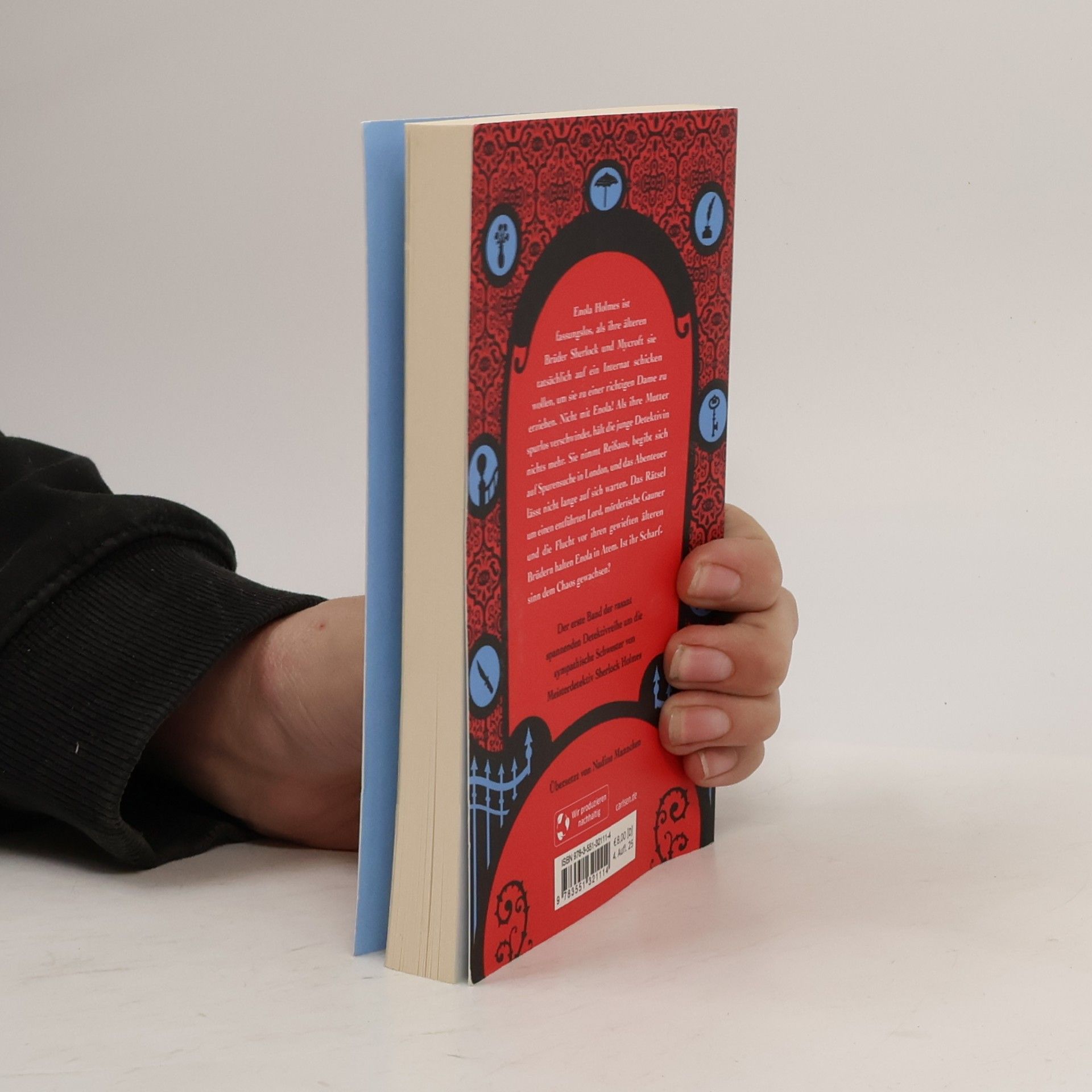 Nancy Springer Enola Holmes: Der Fall des verschwundenen Lords