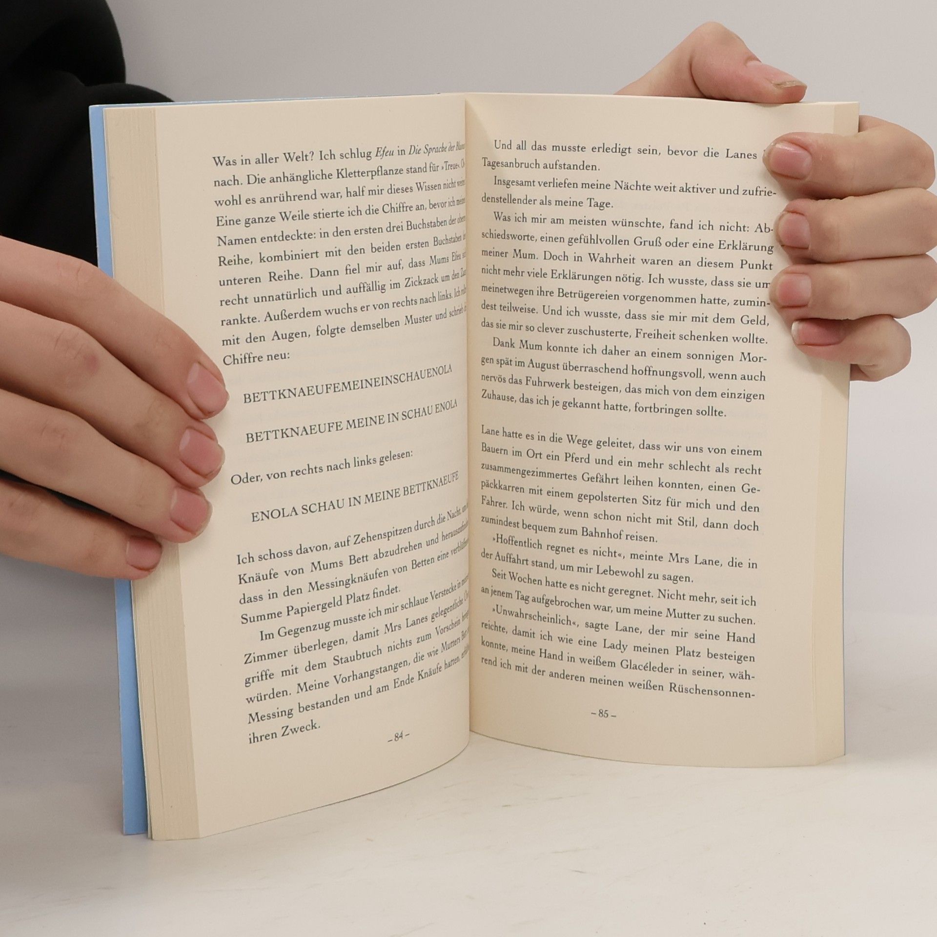 Nancy Springer Enola Holmes: Der Fall des verschwundenen Lords