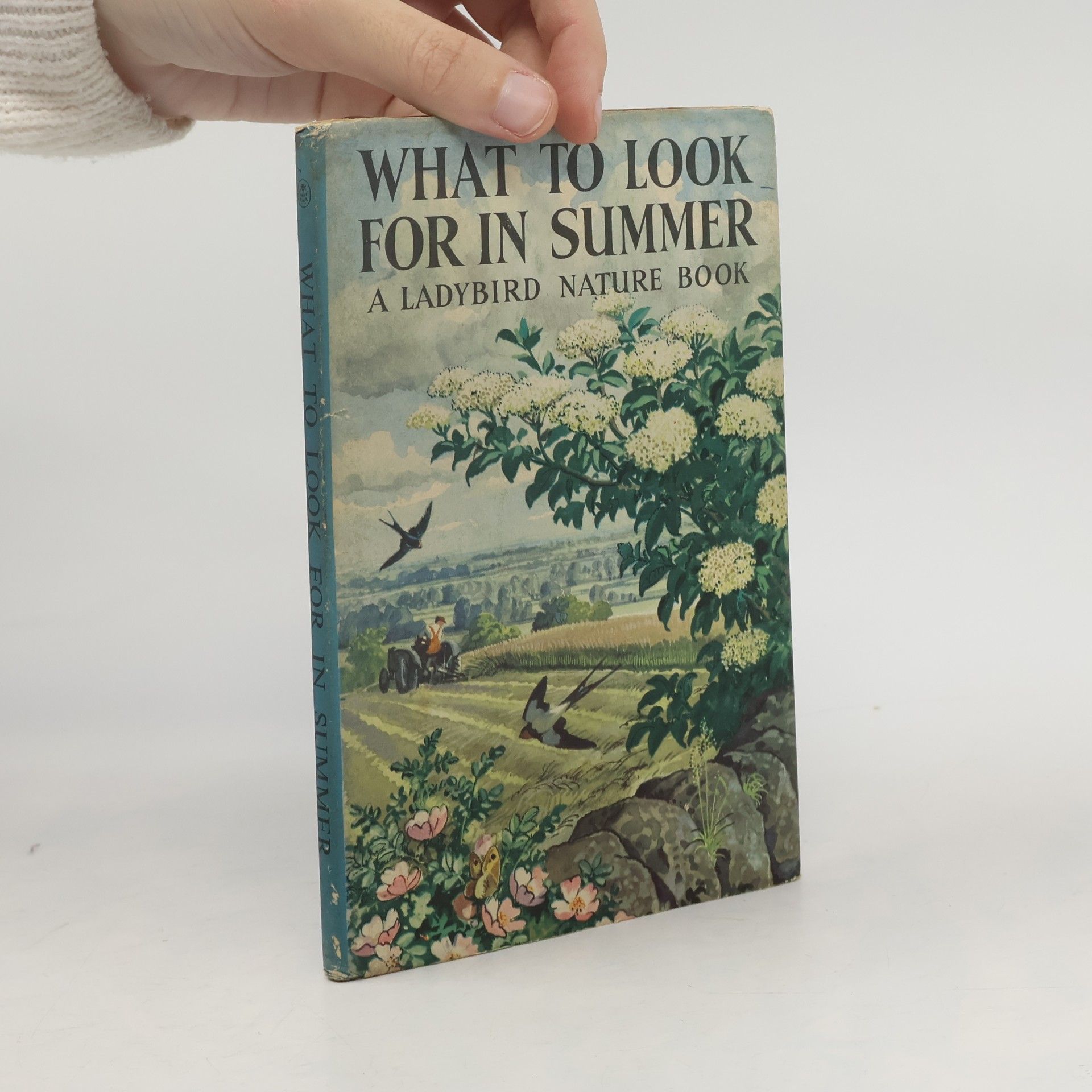 What to Look For in Summer