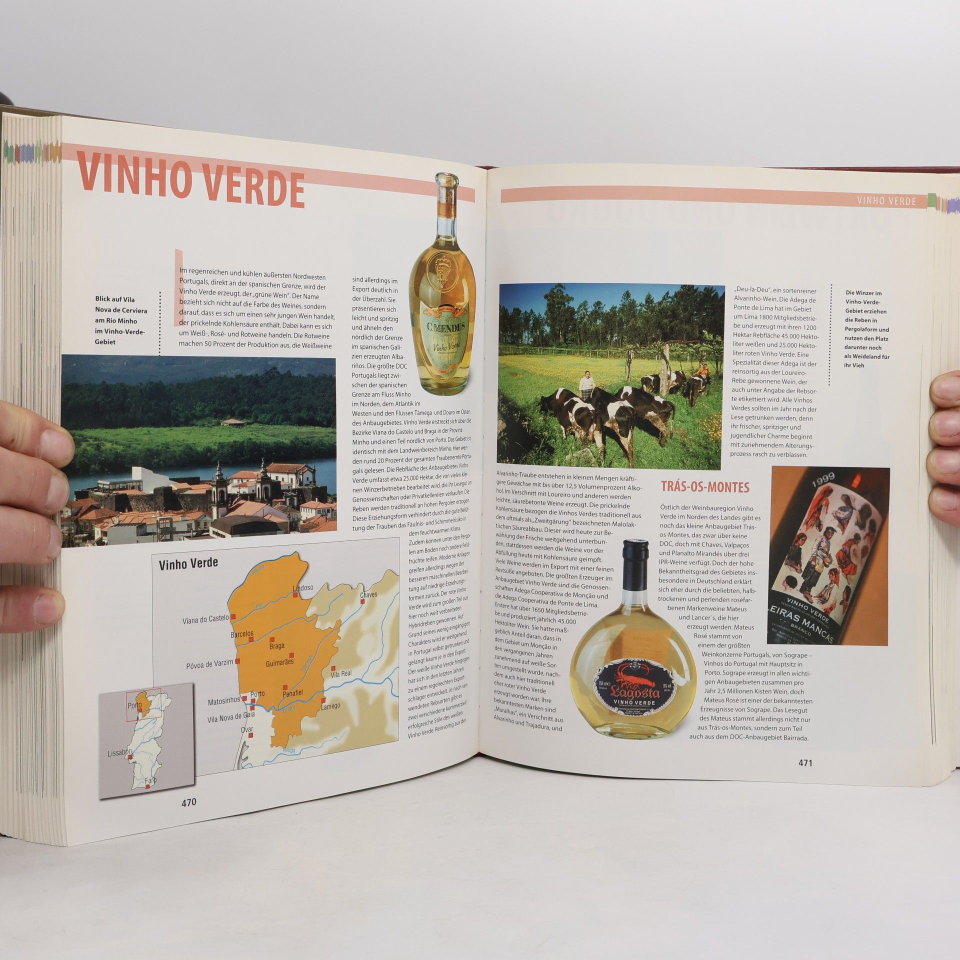 Autorenkollektiv Wein Enzyklopädie