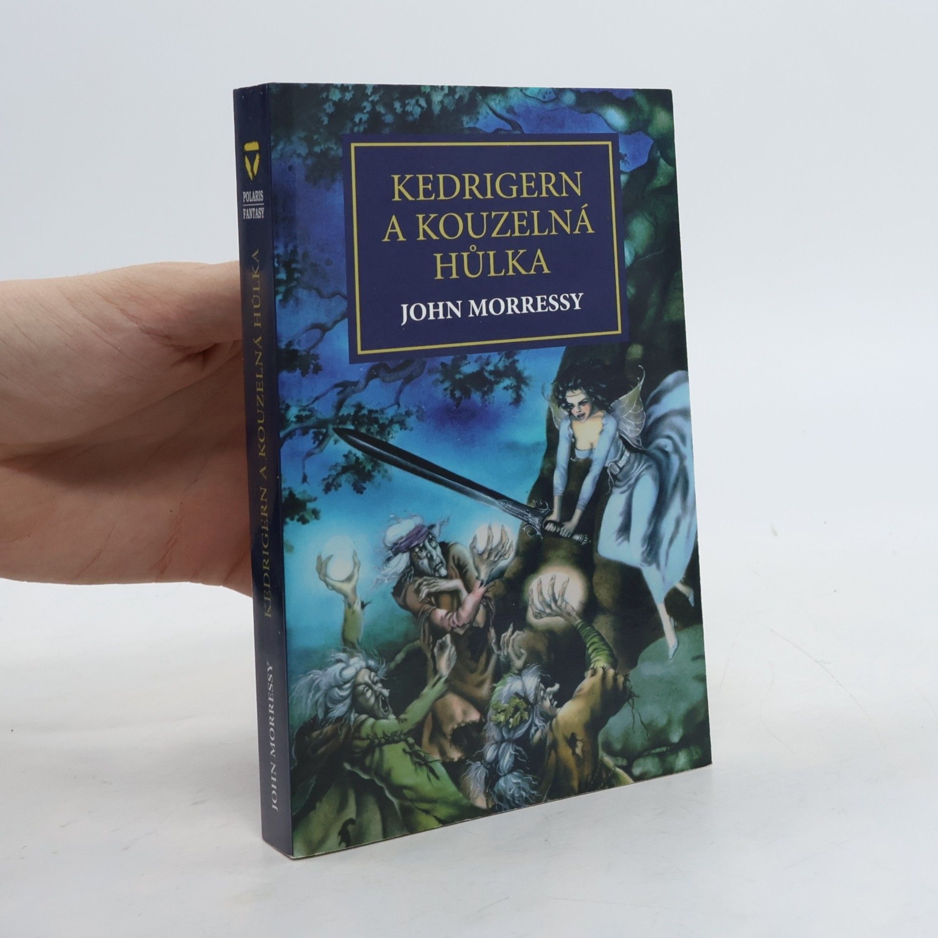 John Morressy Kedrigern a kouzelná hůlka