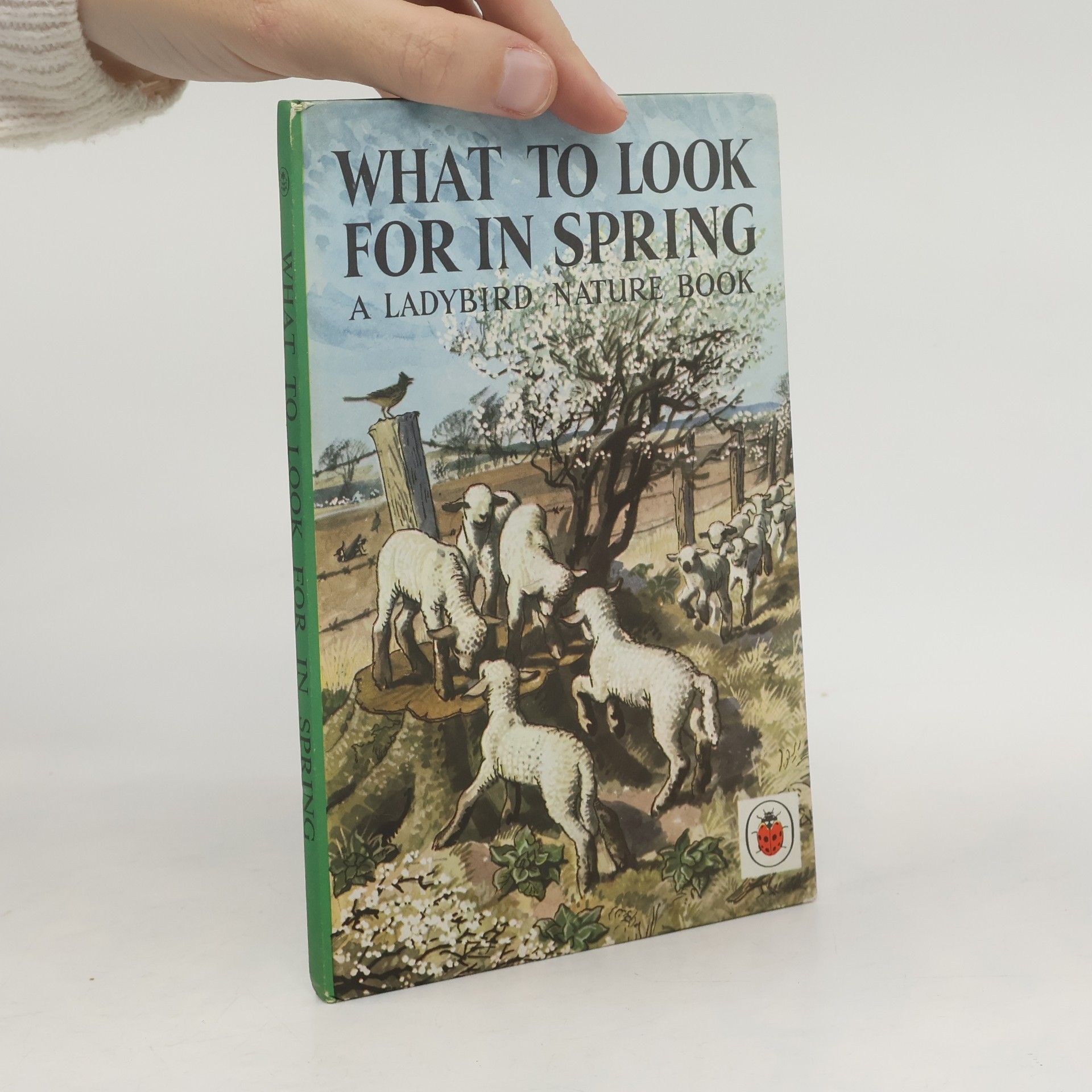 What to Look For in Spring