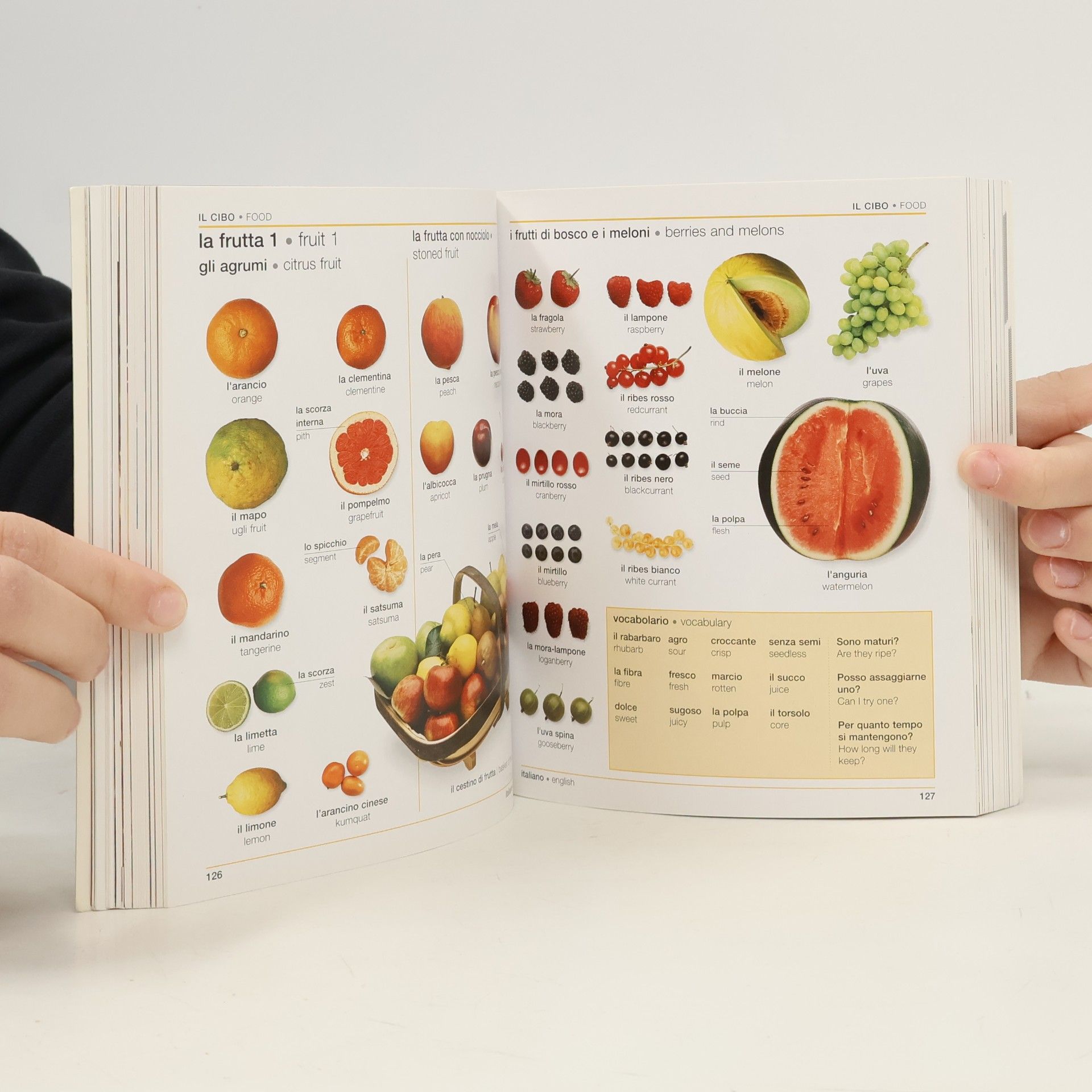 Auteurscollectief Italian English Bilingual Visual Dictionary