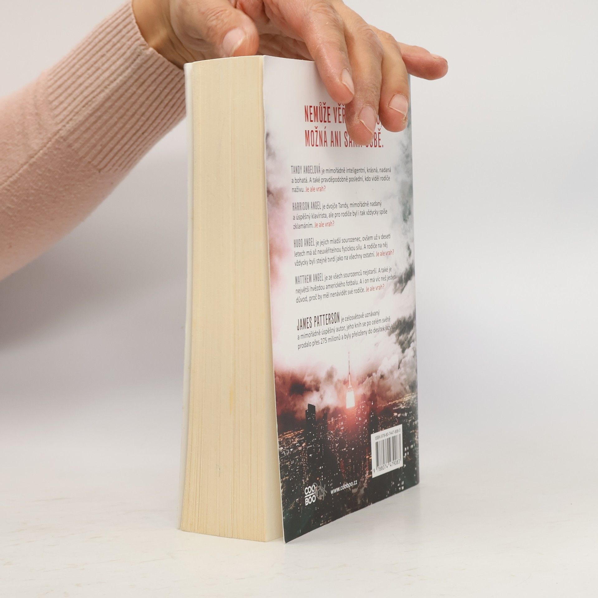 James Patterson Zpovědi podezřelé