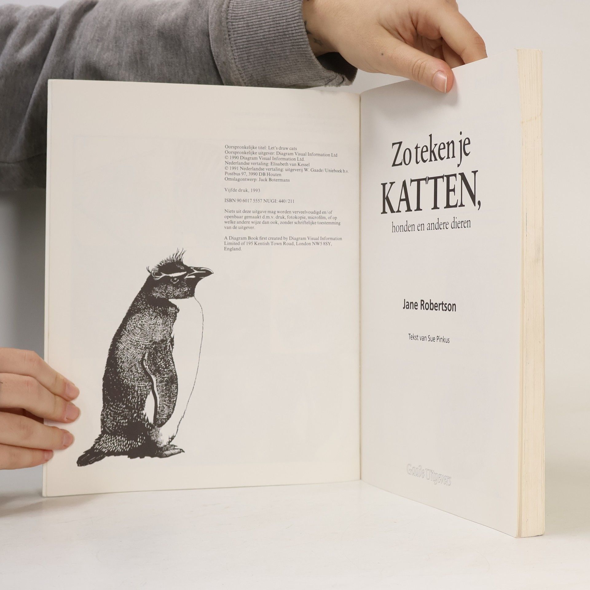Jane Robertson Zo teken je Katten, honden en andere dieren