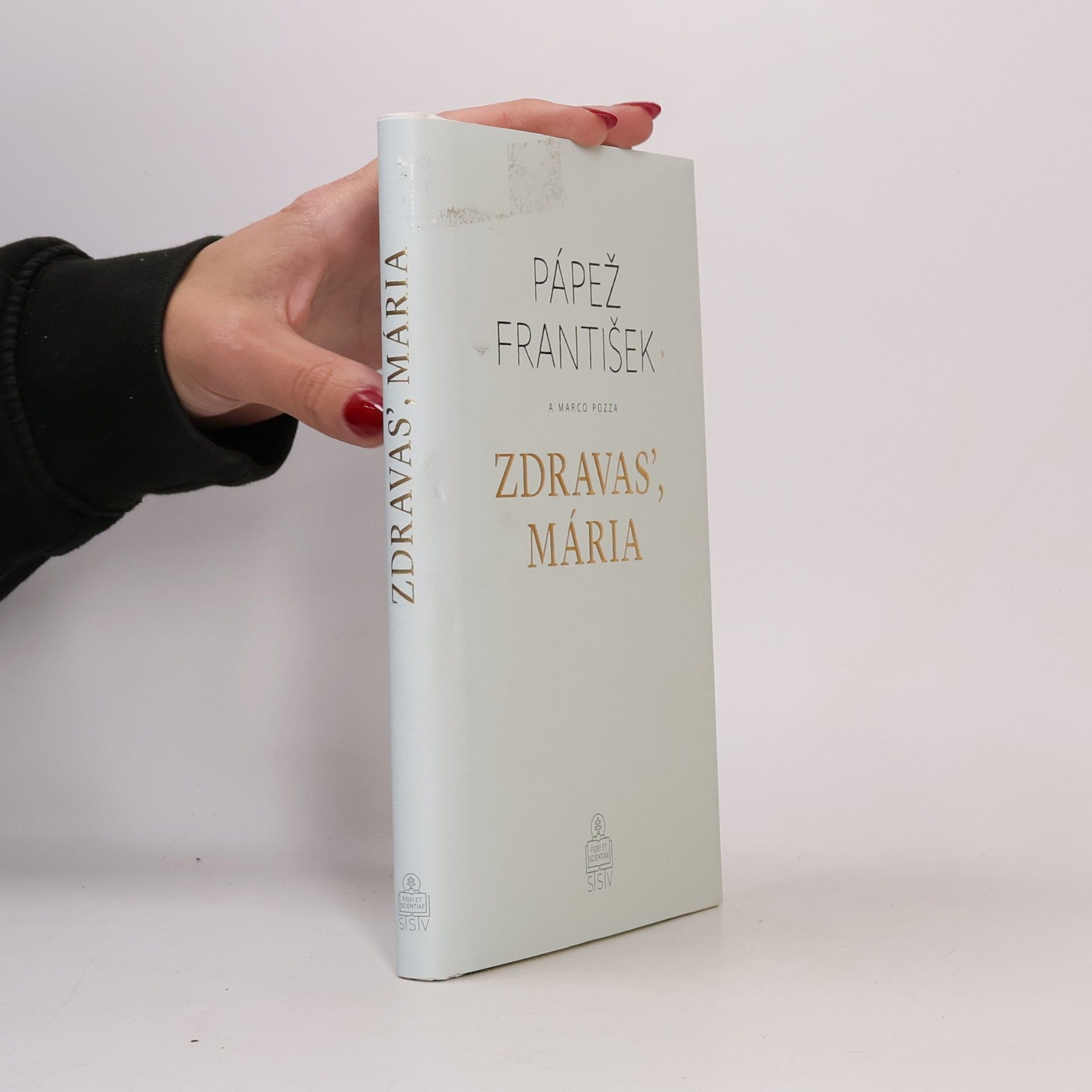 Pápež František Zdrávas Maria