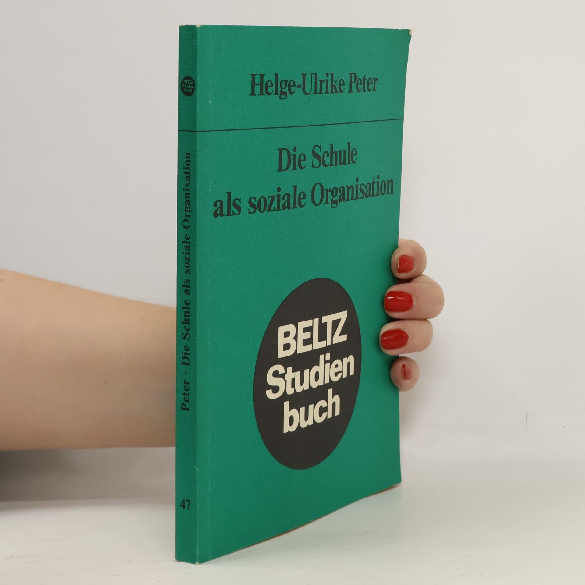 Die Schule als soziale Organisation