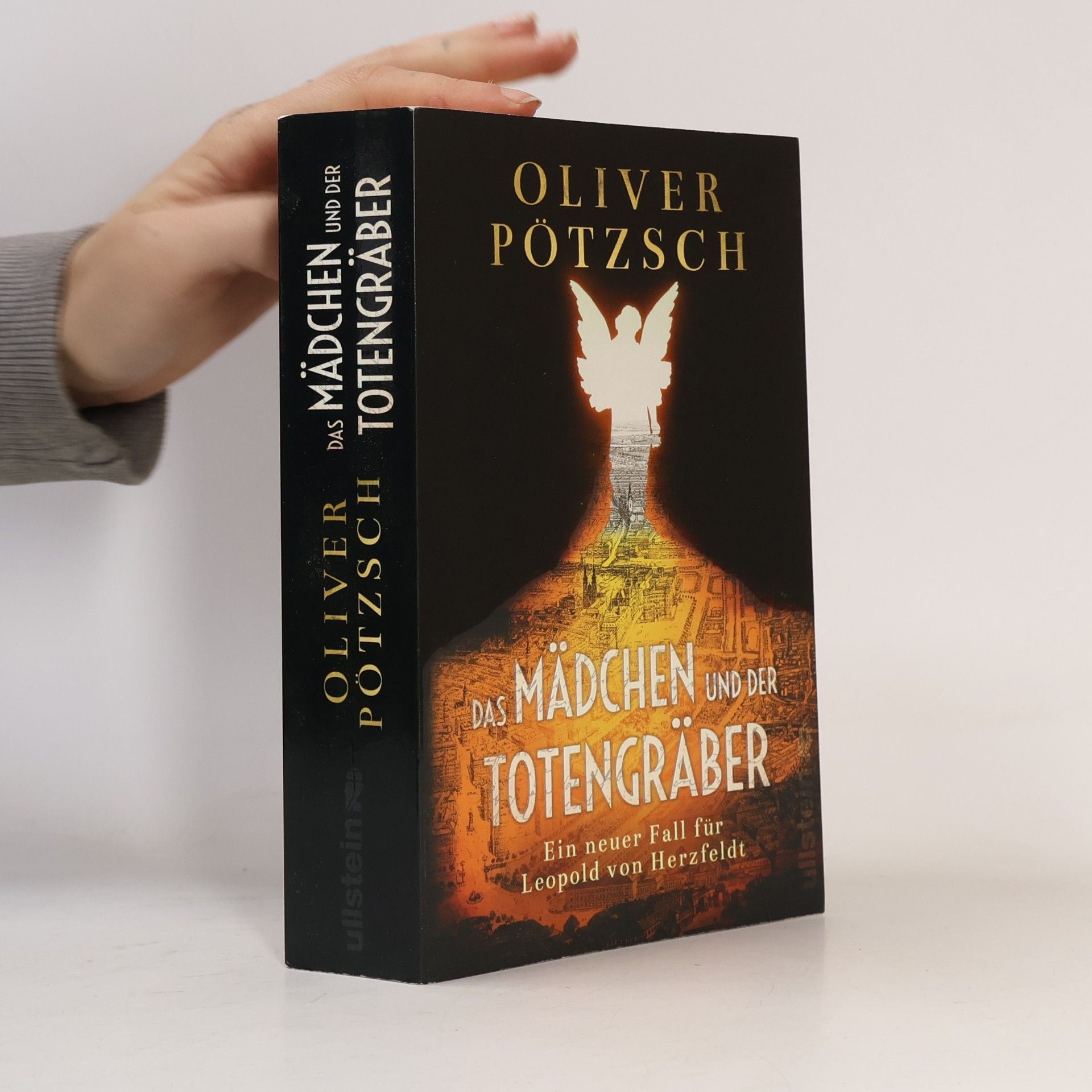 Oliver Pötzsch Das Mädchen und der Totengräber
