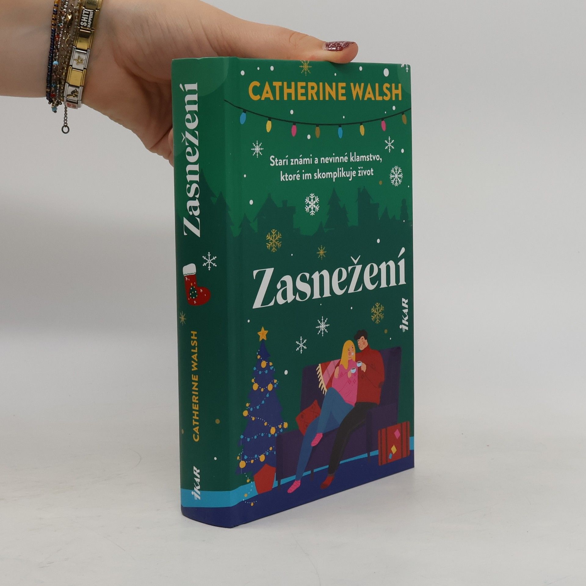 Zasnežení