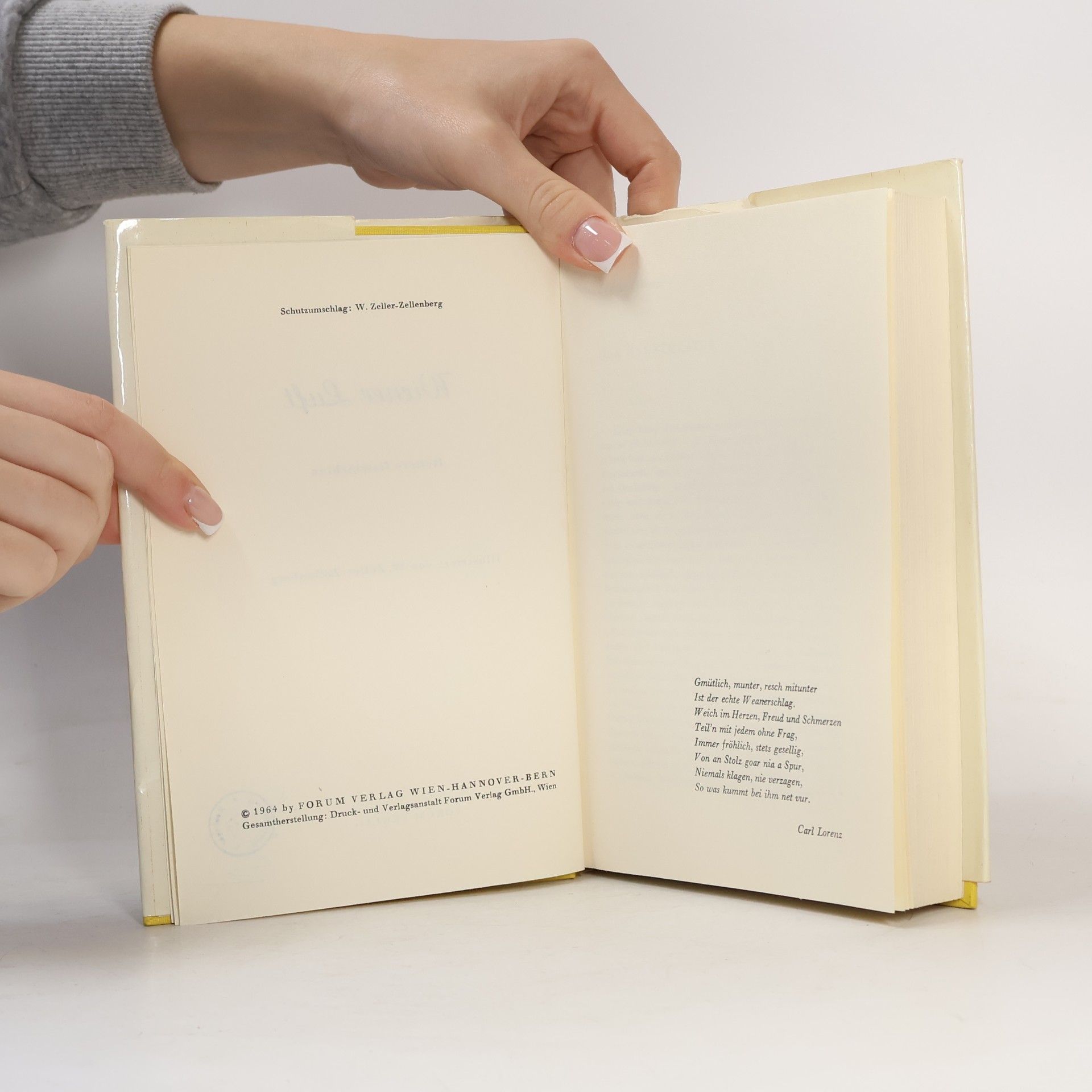 Autorenkollektiv Wiener Luft
