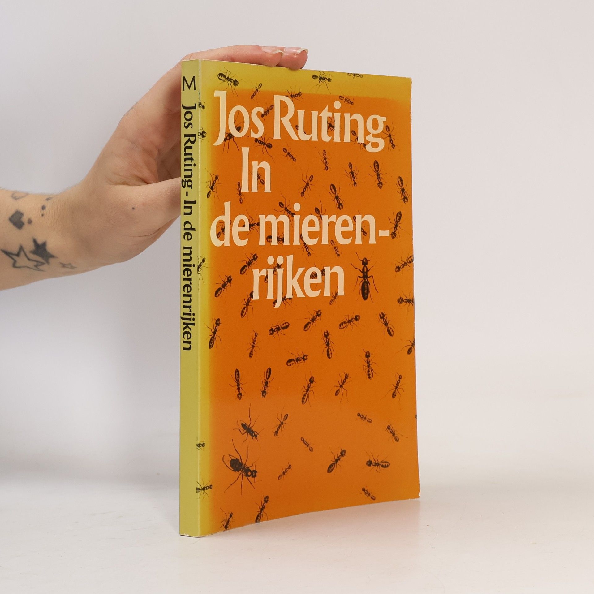Jos Ruting In de mierenrijken: Yvonnes mierkundige opstellen