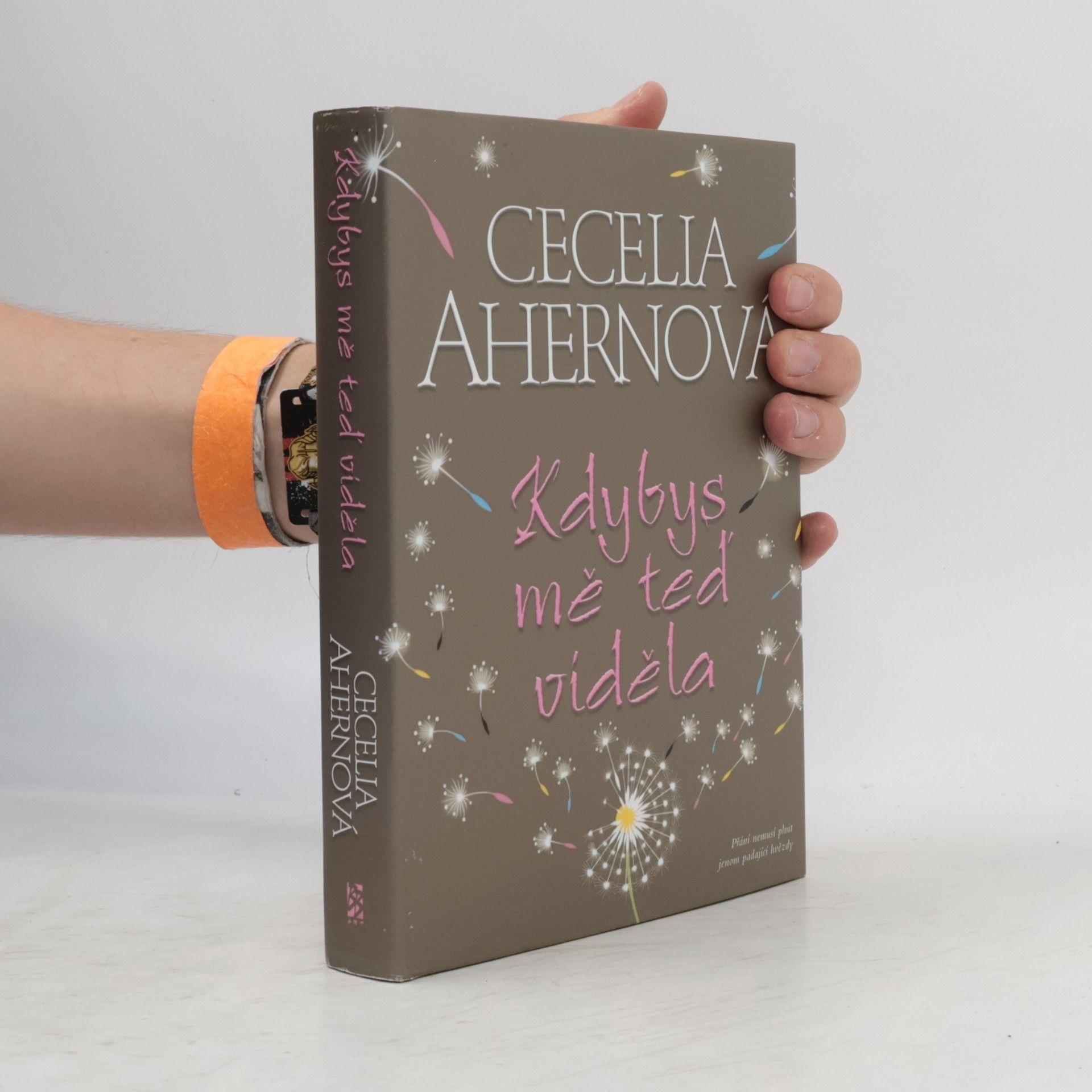 Cecelia Ahern Kdybys mě teď viděla