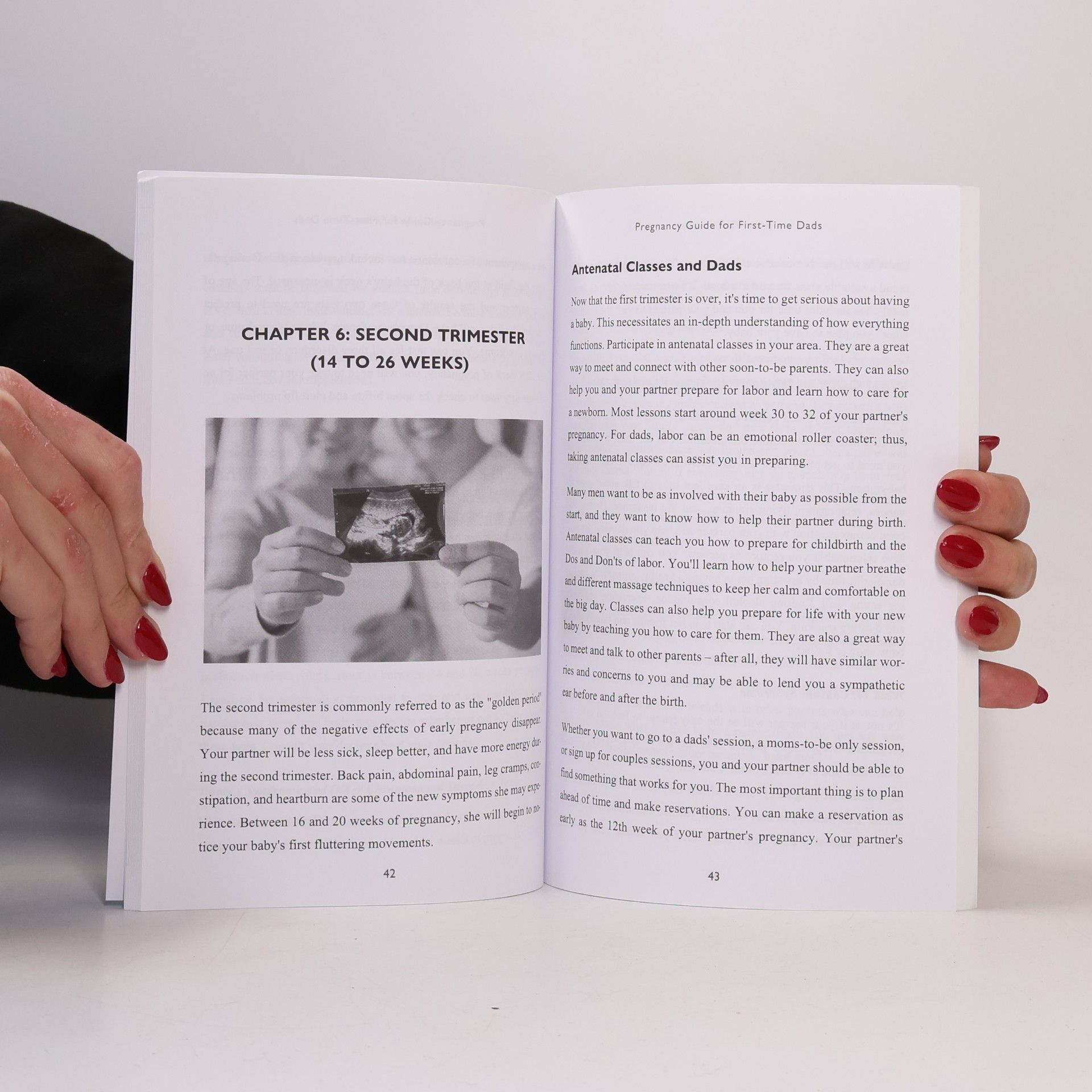 Bryan C. Reynolds Pregnancy Guide for First-Time Dads