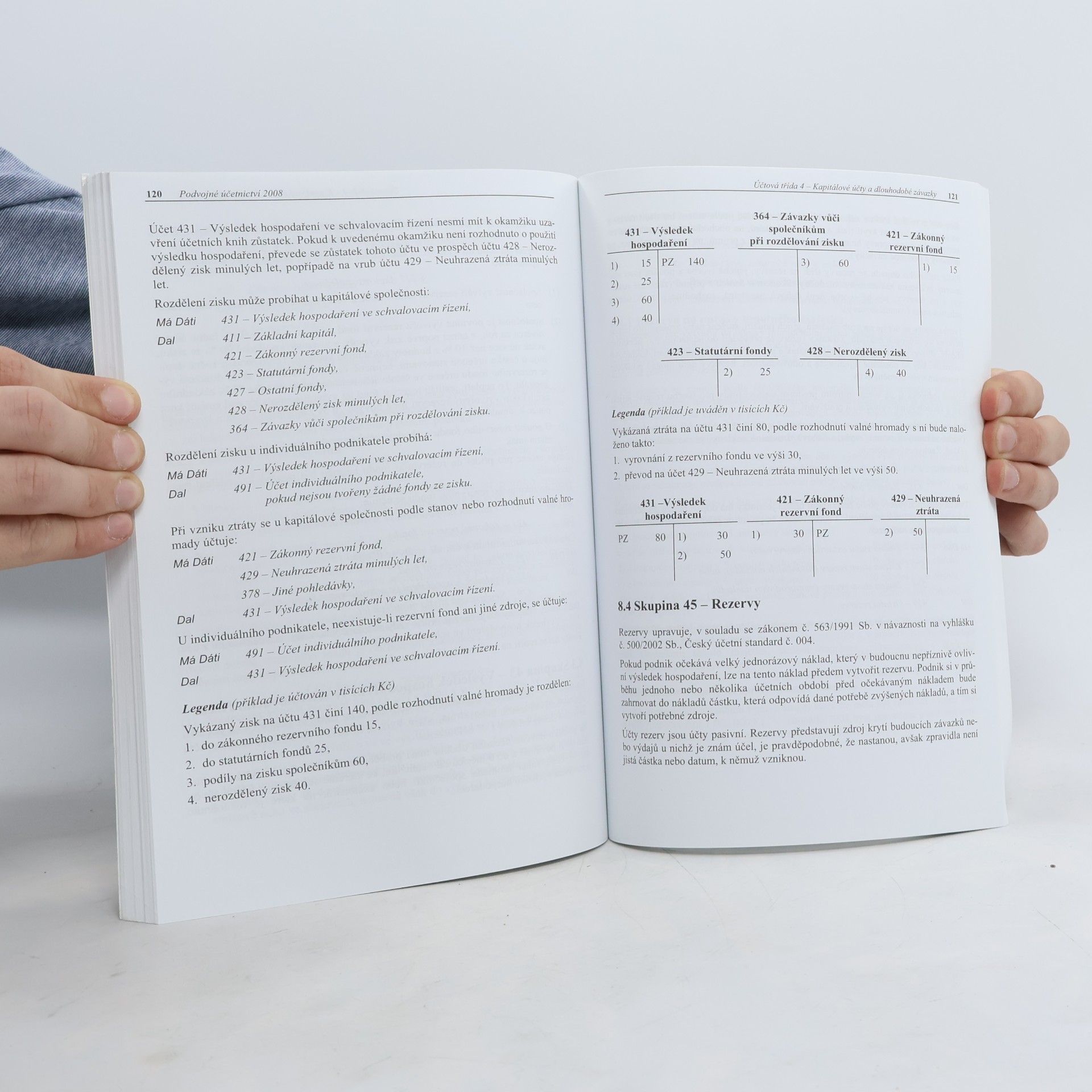 TPA Horwath Notia Audit Podvojné účetnictví 2008