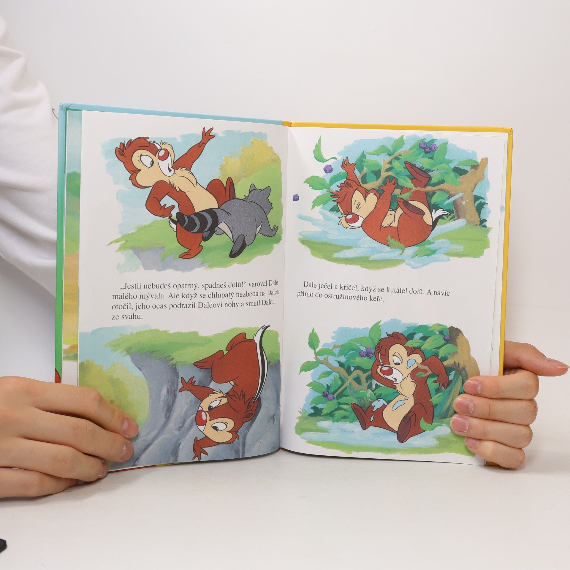 Various authors Chip a Dale v mateřské škole