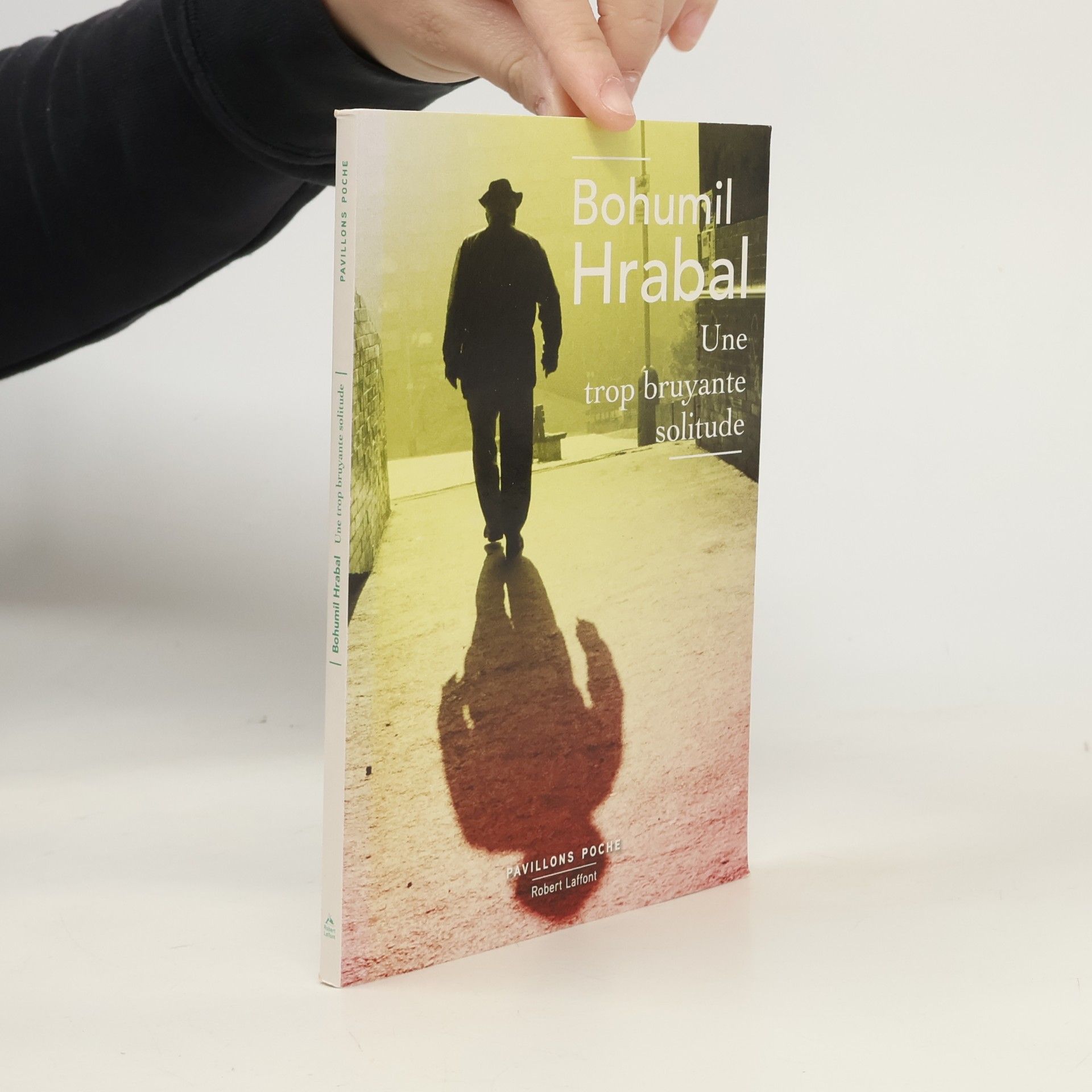 Une trop bruyante solitude