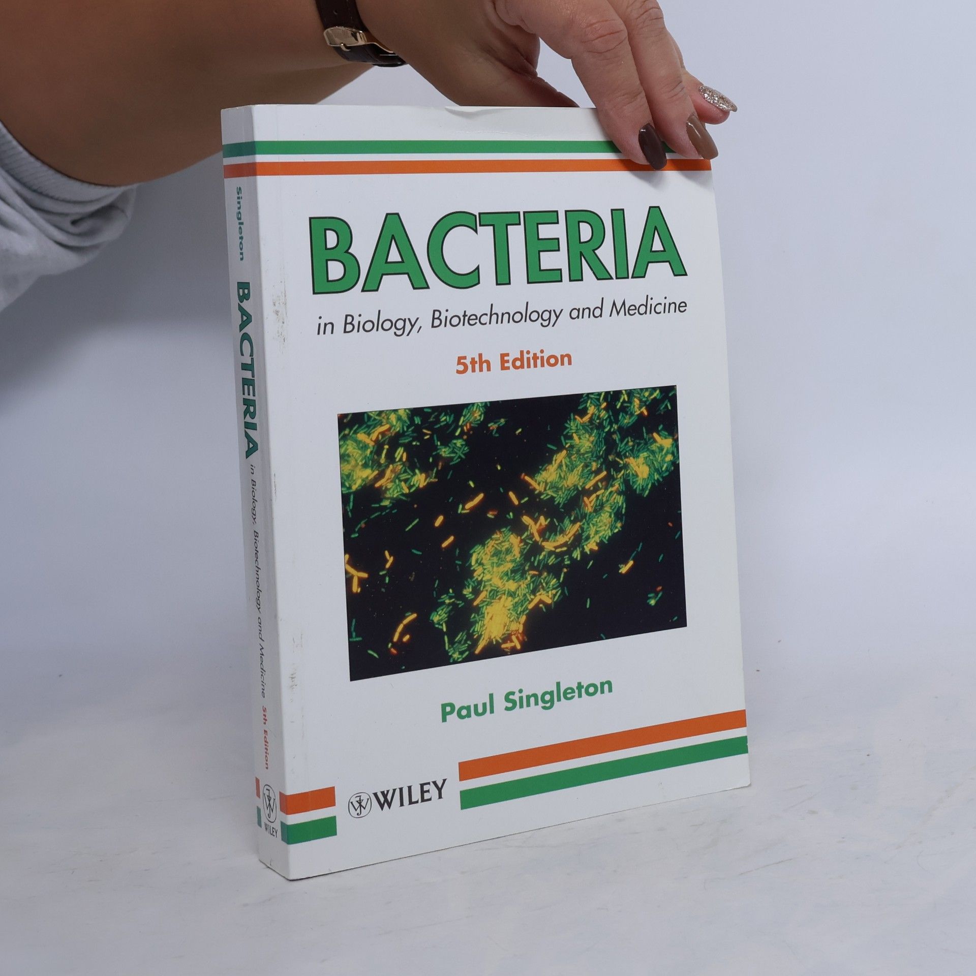 Bacteria