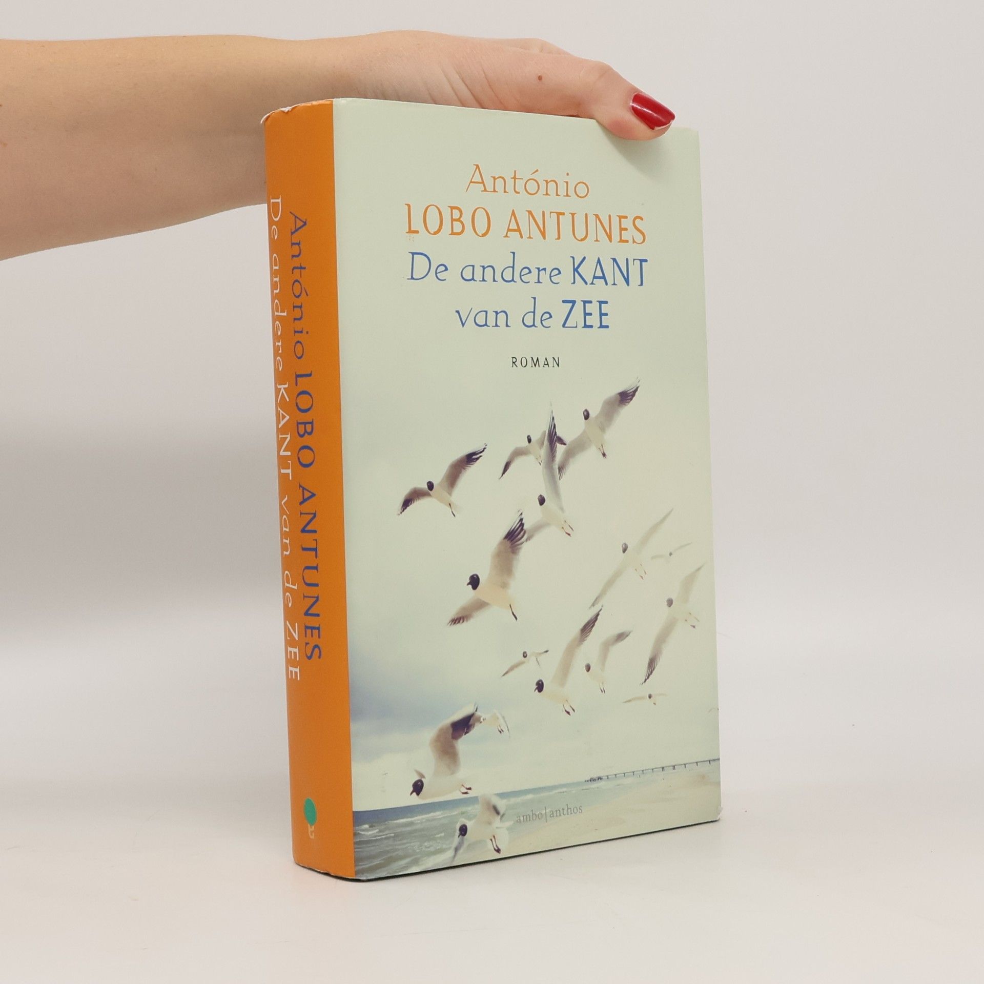 De andere kant van de zee