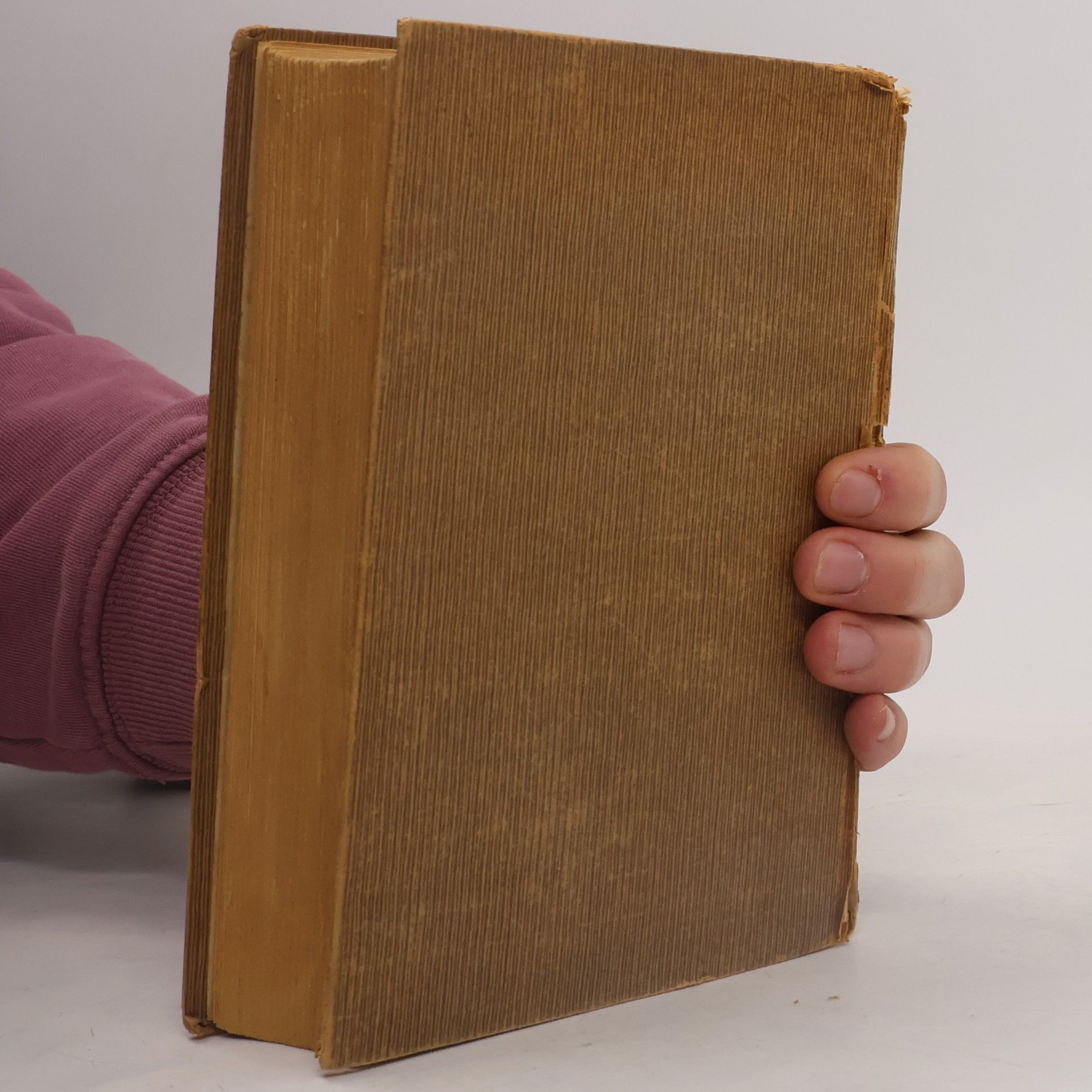 Charlotte Sauer Drei Zeiten