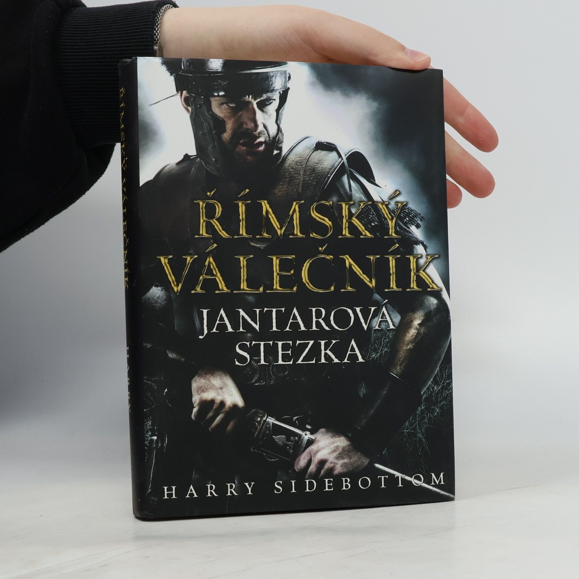 Harry Sidebottom Římský válečník. Jantarová stezka