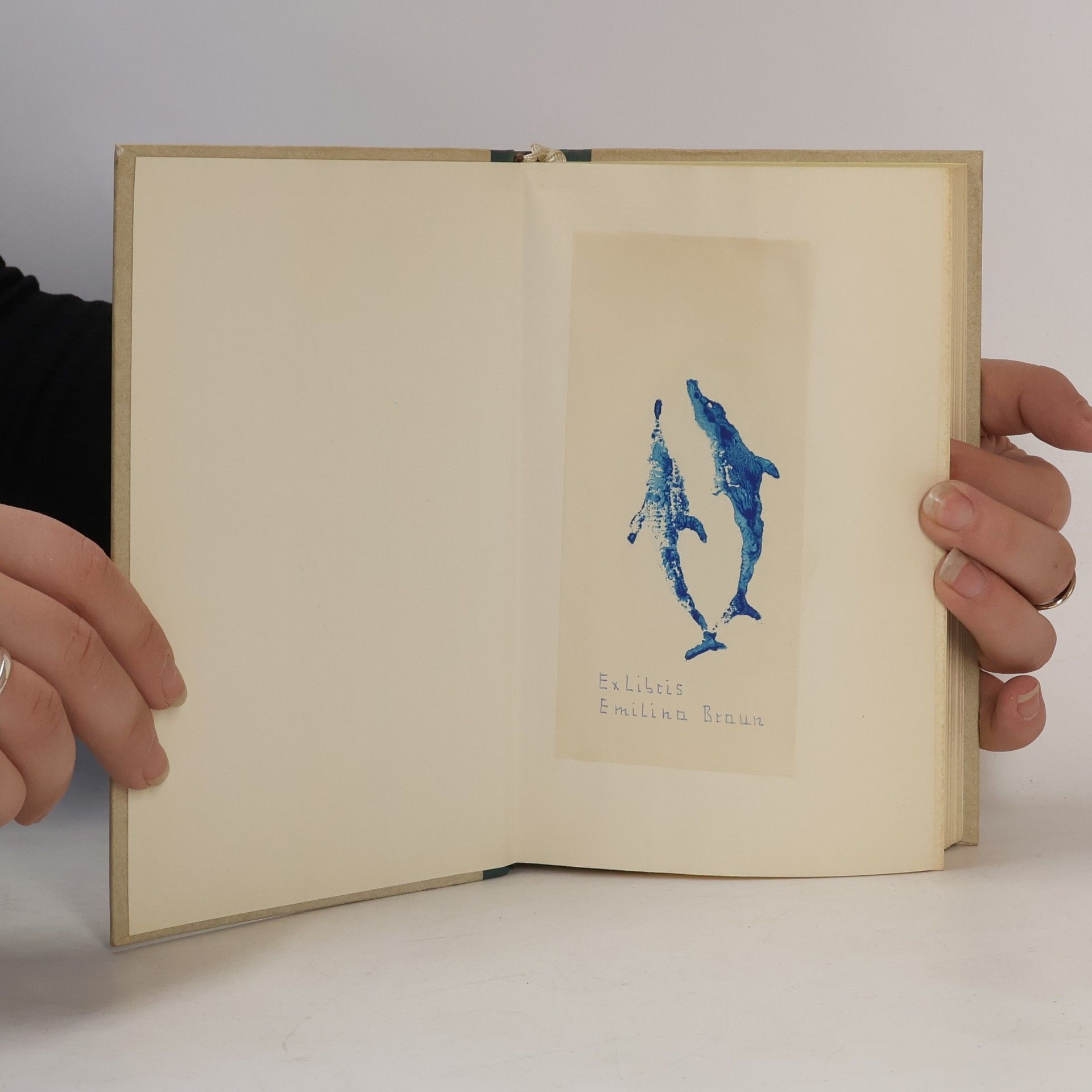 Theodor Müller Alfred Das deutsche Reisebuch